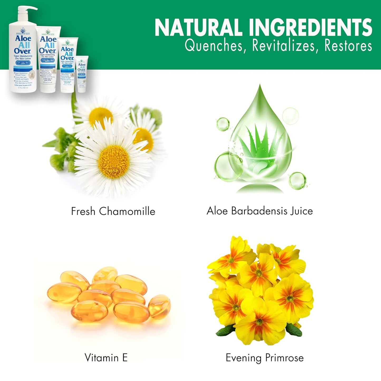 Miracle of Aloe’s Aloe All Over Super Moisturizing Dry Skin Lotion (2-Pack, 8 oz) - Made with 72% UltraAloe Aloe Vera Gel. Safe for Everyone: Men, Women, Kids. Ends Flaking and Restores Dry Skin Fast