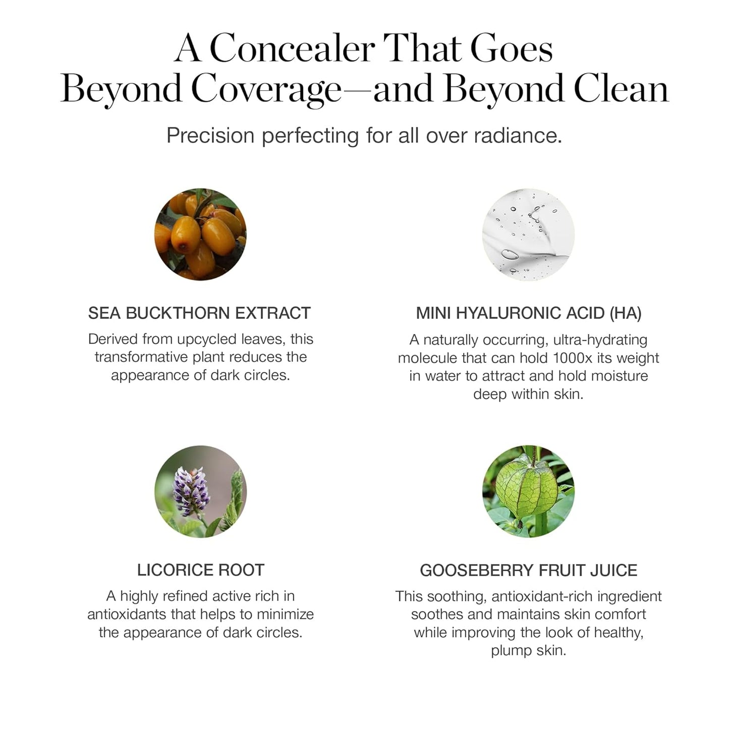 Ogee Complexion Perfecting Under Eye Concealer - Certified Organic Full Coverage Concealer - Buildable Coverage - MAPLE 8.25N - Medium Deep (Golden-Bronze Undertones)