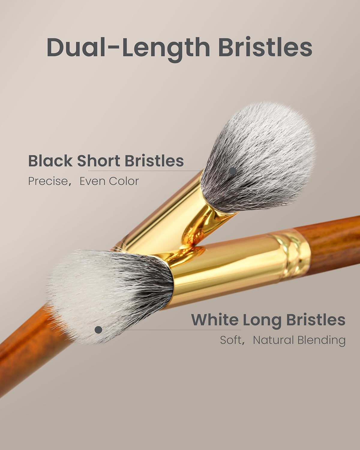 Desert Oak Series Powder Cheek Duo Brush Set - CM 188 Blush Brush & CM 189 Highlighter Brush of Goat Hair for a Soft-Focus Glow, Bubinga Handle