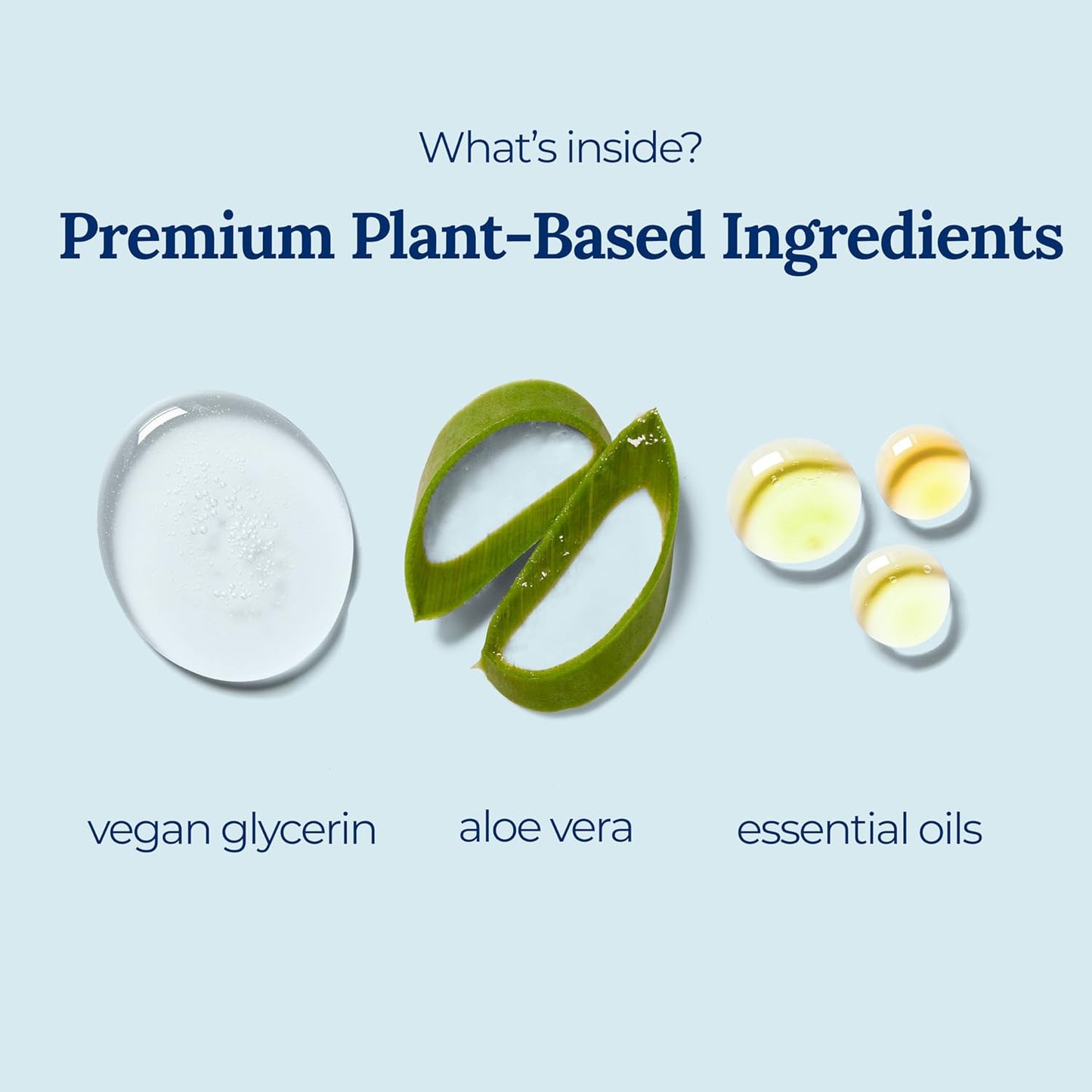 Tangerine Coriander Spray Hand Sanitizer | Travel Size | Hydrate & Cleanse | Made with Aloe Vera & Essential Oils | Green Tea Extract | Scented Travel Hand Sanitizer | Hand Sanitizer Spray | 3-Pack