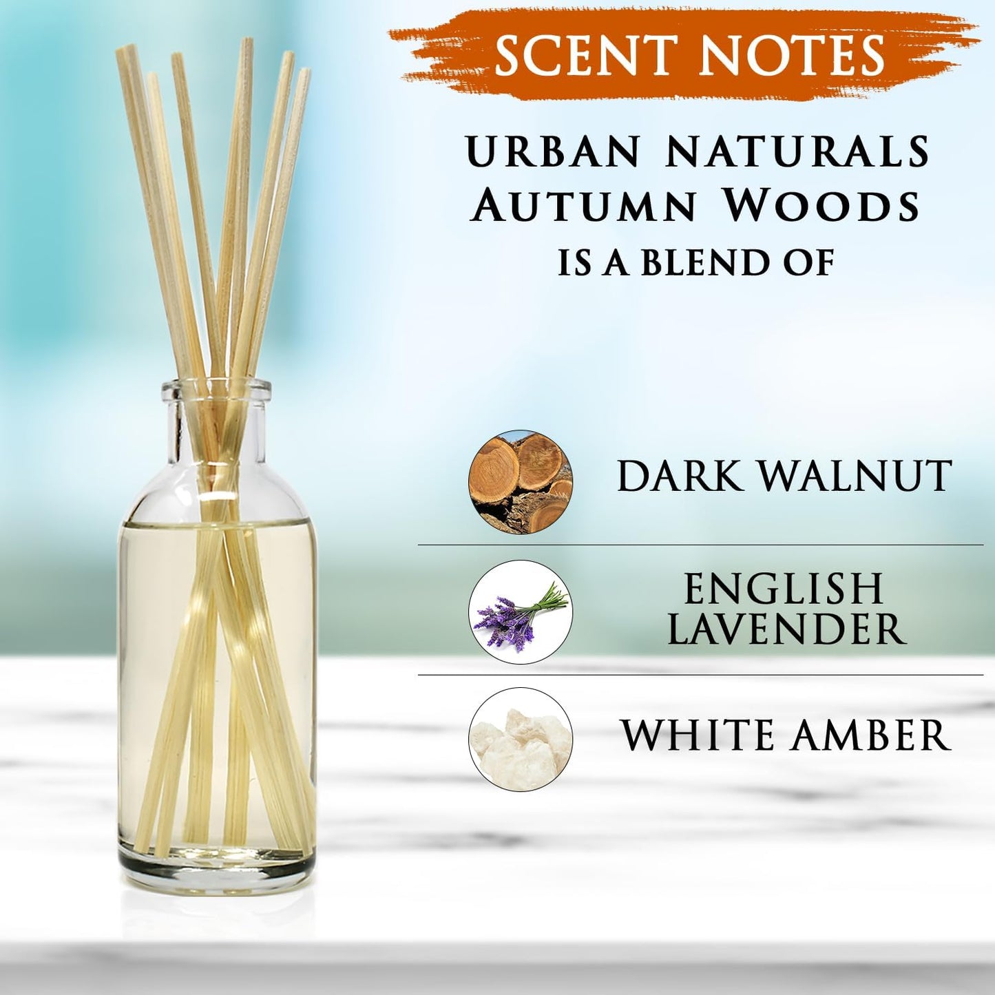 Urban Naturals Autumn Woods Reed Diffuser Set - Dark Walnut, English Lavender and White Amber - A Fresh, Earthy, Woodsy Fall Forage Scent - Made in The USA