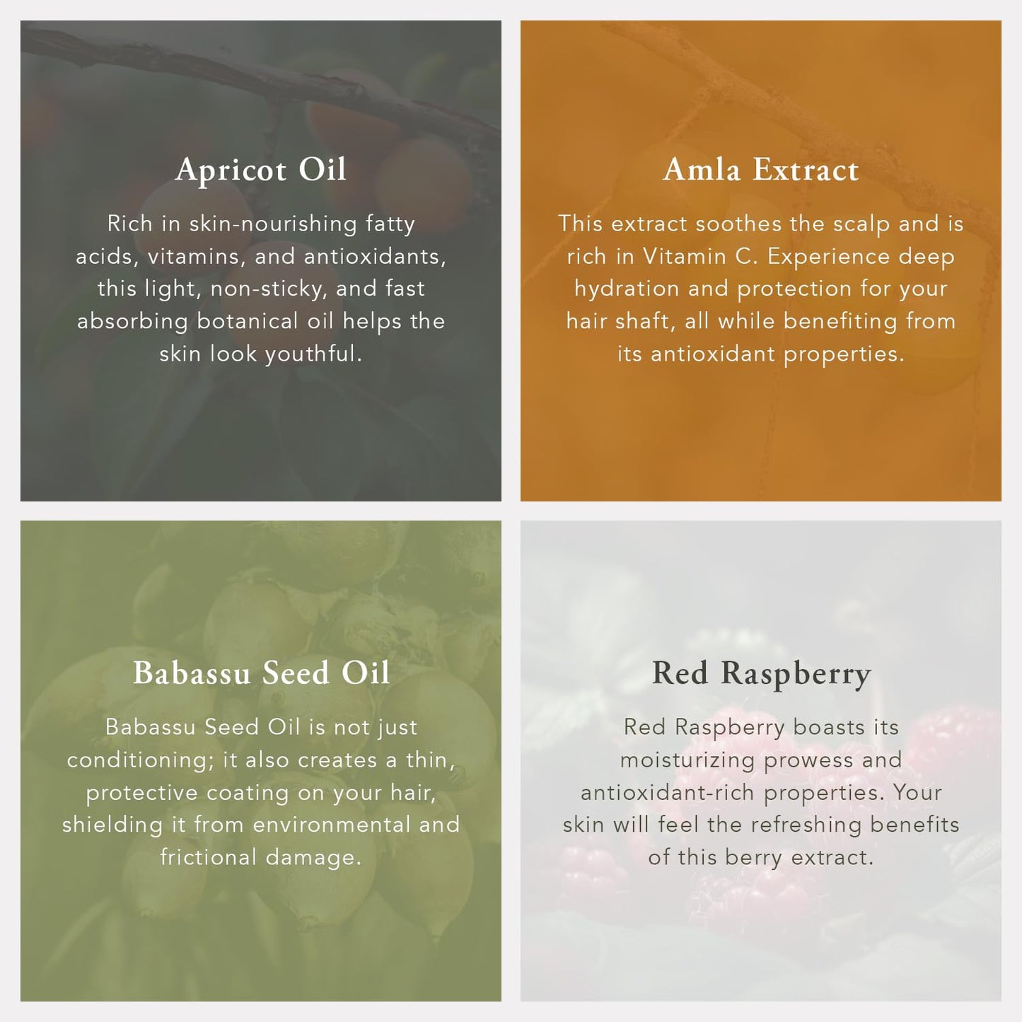 Caldera + Lab The Beard, Balancing & Nourishing Beard Oil with Antioxidant Botanicals