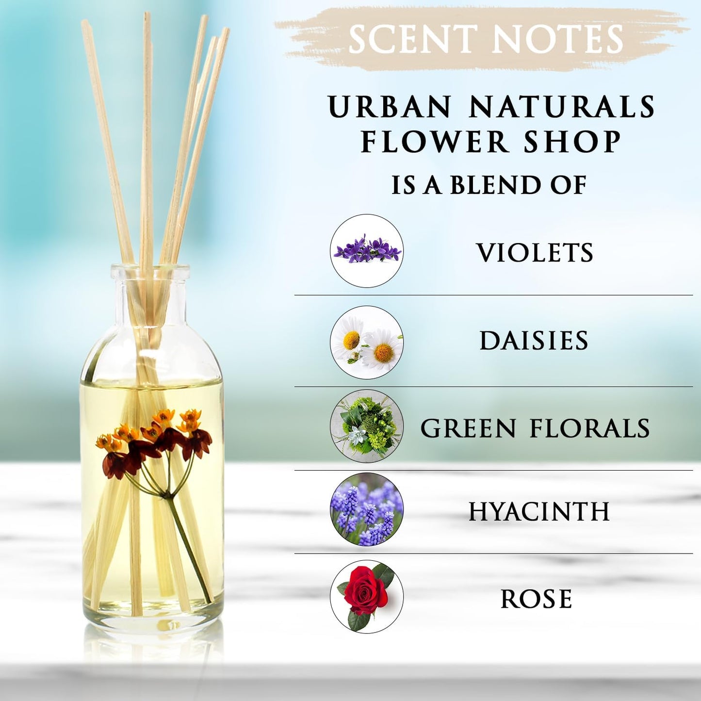 Urban Naturals Flower Shop Reed Diffuser Gift Set | Violets, Daisies, Hyacinth & Rose Fragrance Notes | Real Flower Inside The Bottle! Made in The USA | Great Gift for Mom