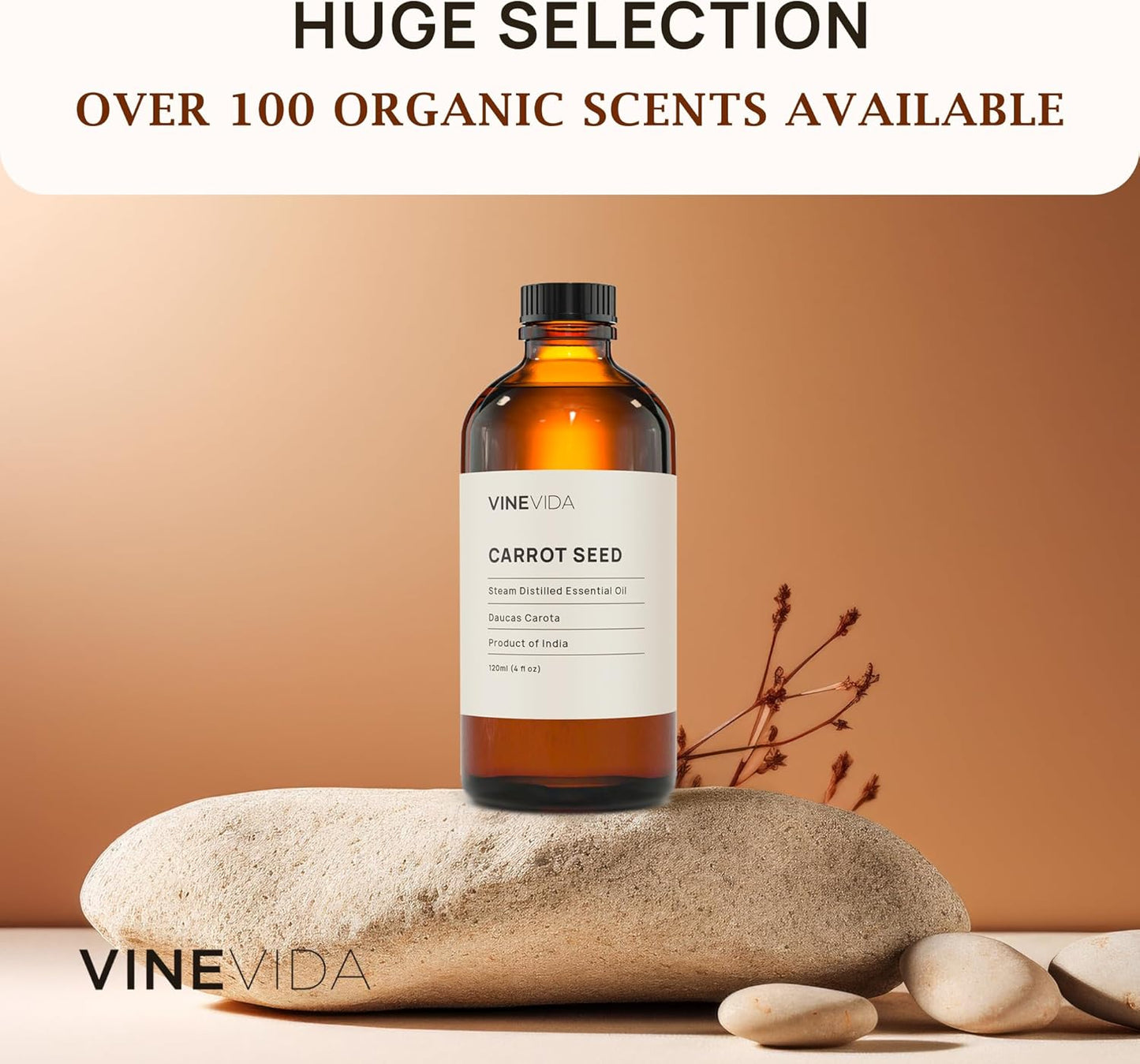 VINEVIDA Carrot Seed Essential Oil 4 oz - Undiluted Candle Scent DIY Scents for Candlemaking Bulk Soap Making Safe Skin, Pack of 1,4 Fl Oz,120 milliliters,7.18 Ounces