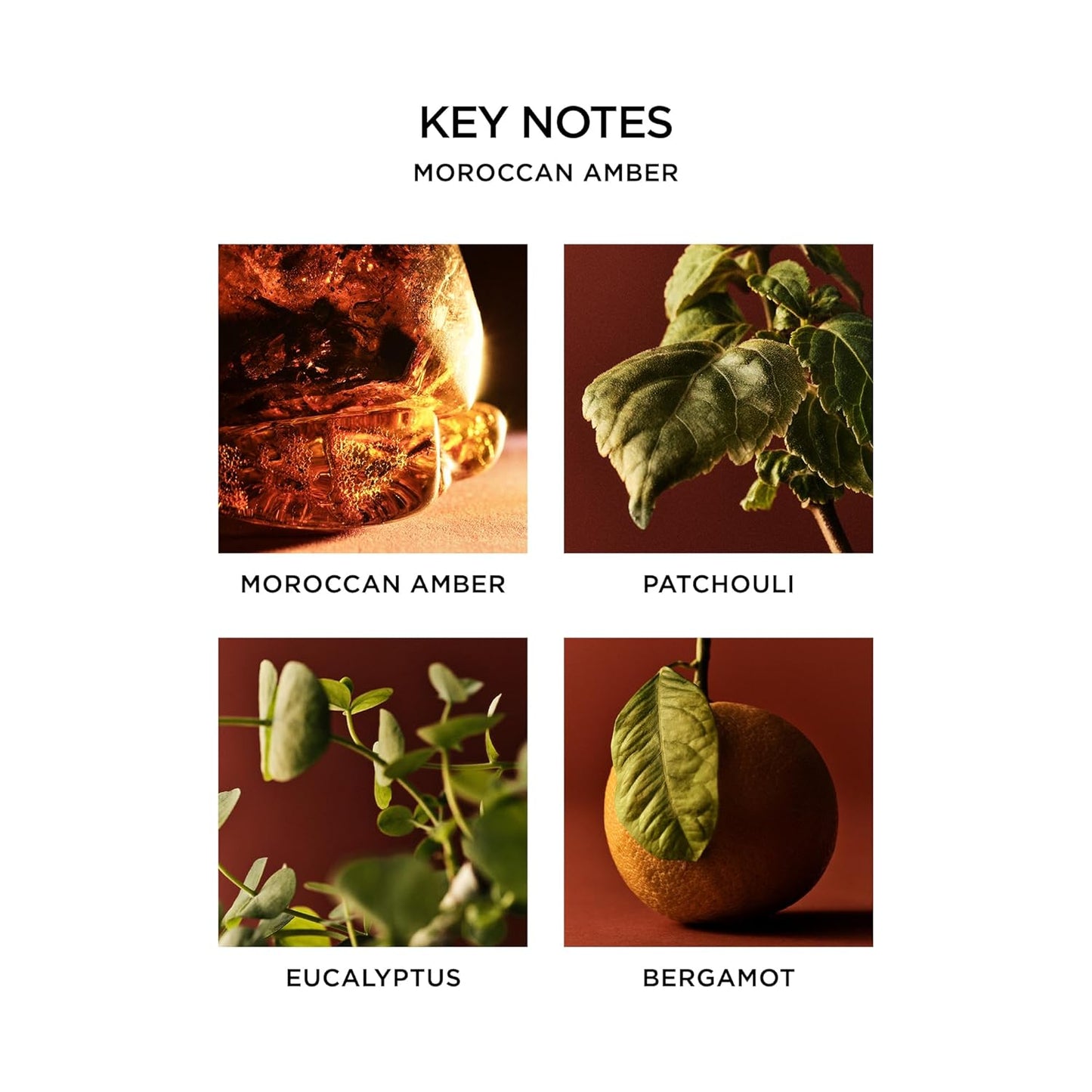 NEST New York Liquid Soap, Moroccan Amber - 10 fl oz - Cleanses & Nourishes Skin - Approx. 300 Pumps Per Bottle - Gluten Free & Cruelty Free