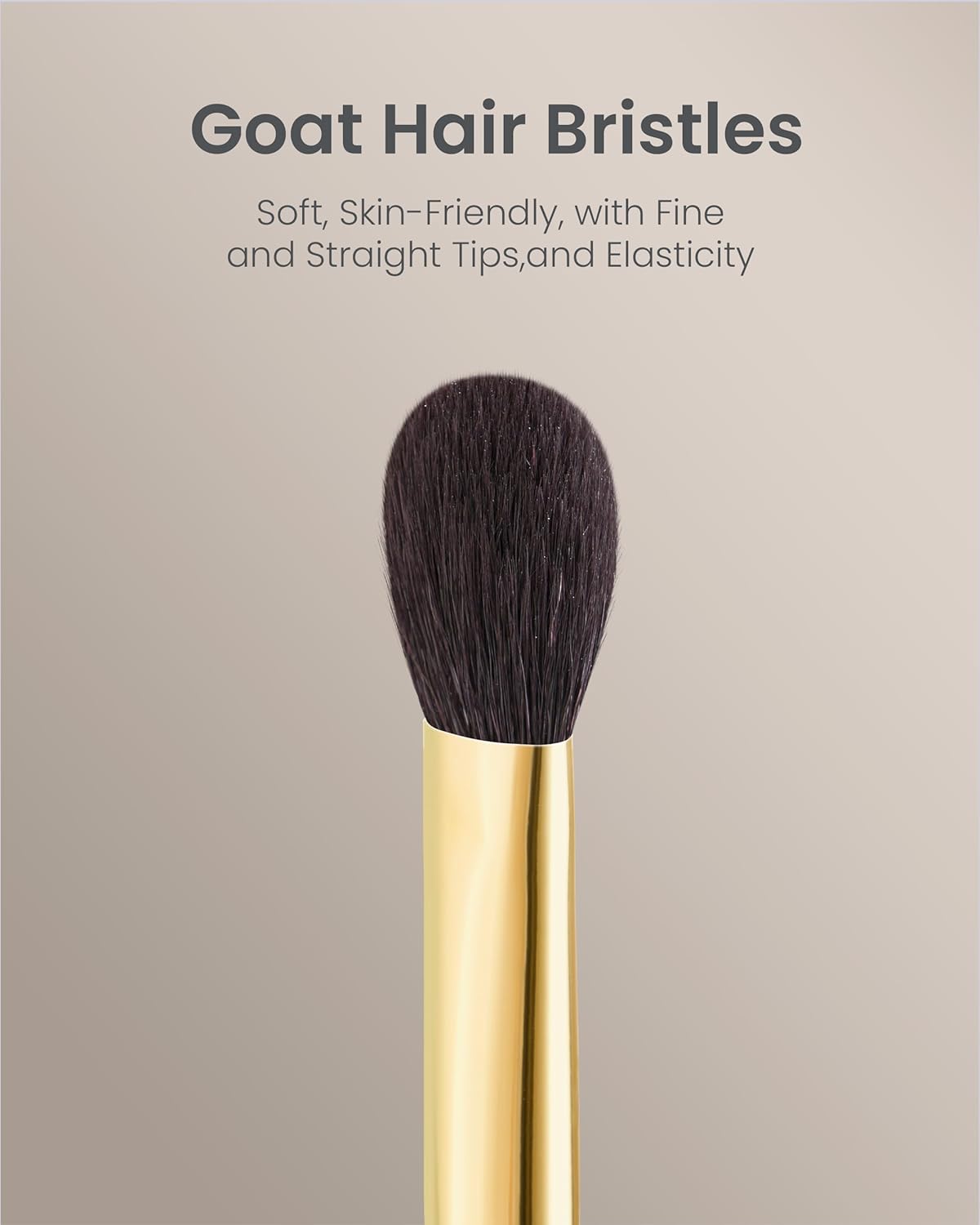 Desert Oak Series Highlighter & Setting Brush - Grade-A Fine LambsGoat Hair for Airbrushed Finish, Multi-Use for Cheeks/Nose/Under-Eyes, Ebana Handle & Brass Ferrule (CM 165)