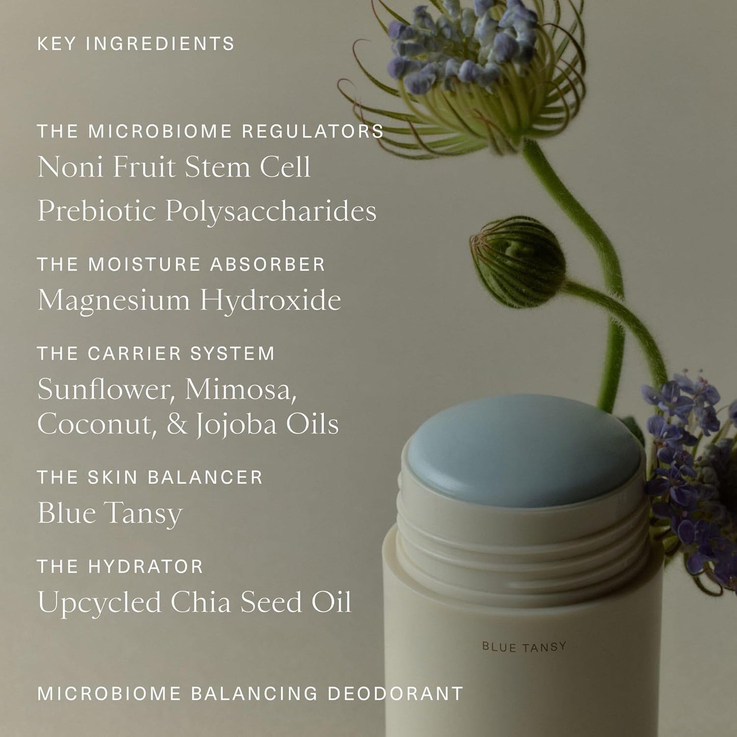 Oak Essentials Microbiome Balancing Deodorant | Aluminum-Free Deodorant with Blue Tansy for All-Day Odor Protection, 1.7 Oz