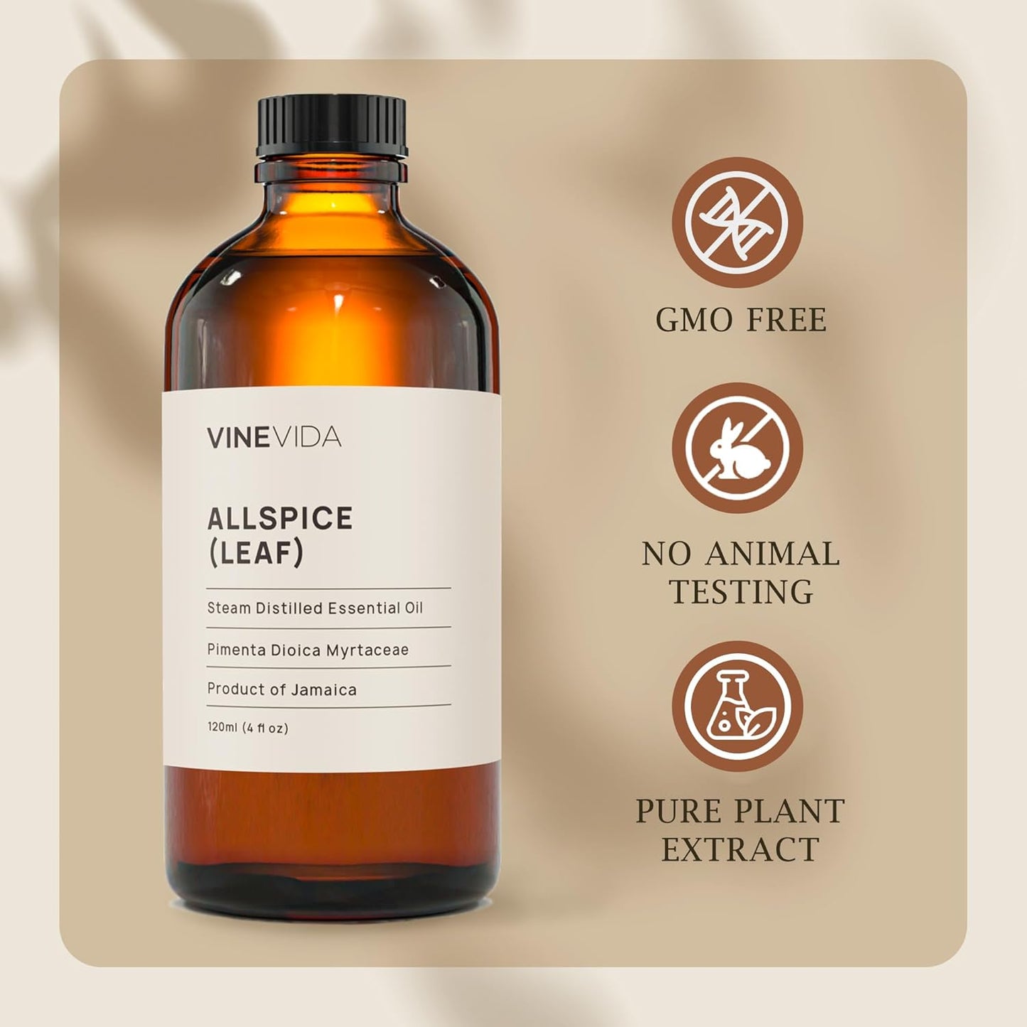 VINEVIDA Allspice (Leaf) Essential Oil 4 oz - Undiluted Allspice (Leaf) Oil 4 oz - Allspice (Leaf) Candle Oil Scent - DIY Candle Scents for Candlemaking - Bulk Essential Oil for Soap Making