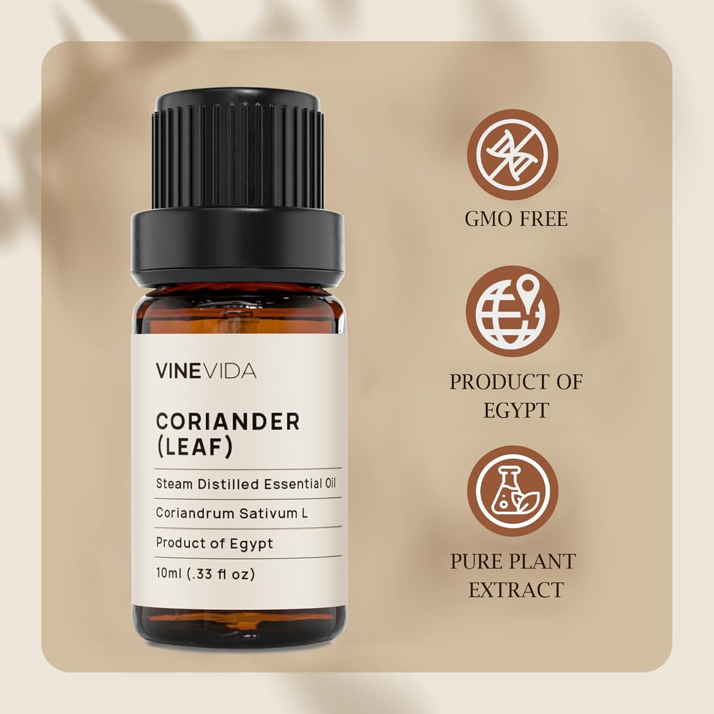 VINEVIDA Coriander Essential Oil - Undiluted Leaf Oil - Candle Oil Scent - DIY Candle Scents - 10 mL for Soap Making