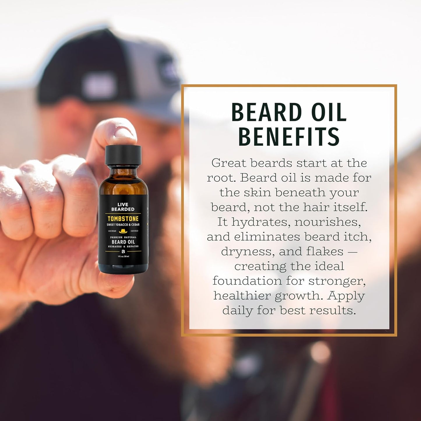 Live Bearded Beard Oil, 1 fl oz - Premium All-Natural Jojoba - Made in the USA - Hair and Skin Care for Men with Dry, Flaky Patches | Tombstone Scent - Sweet Tobacco, Cedar