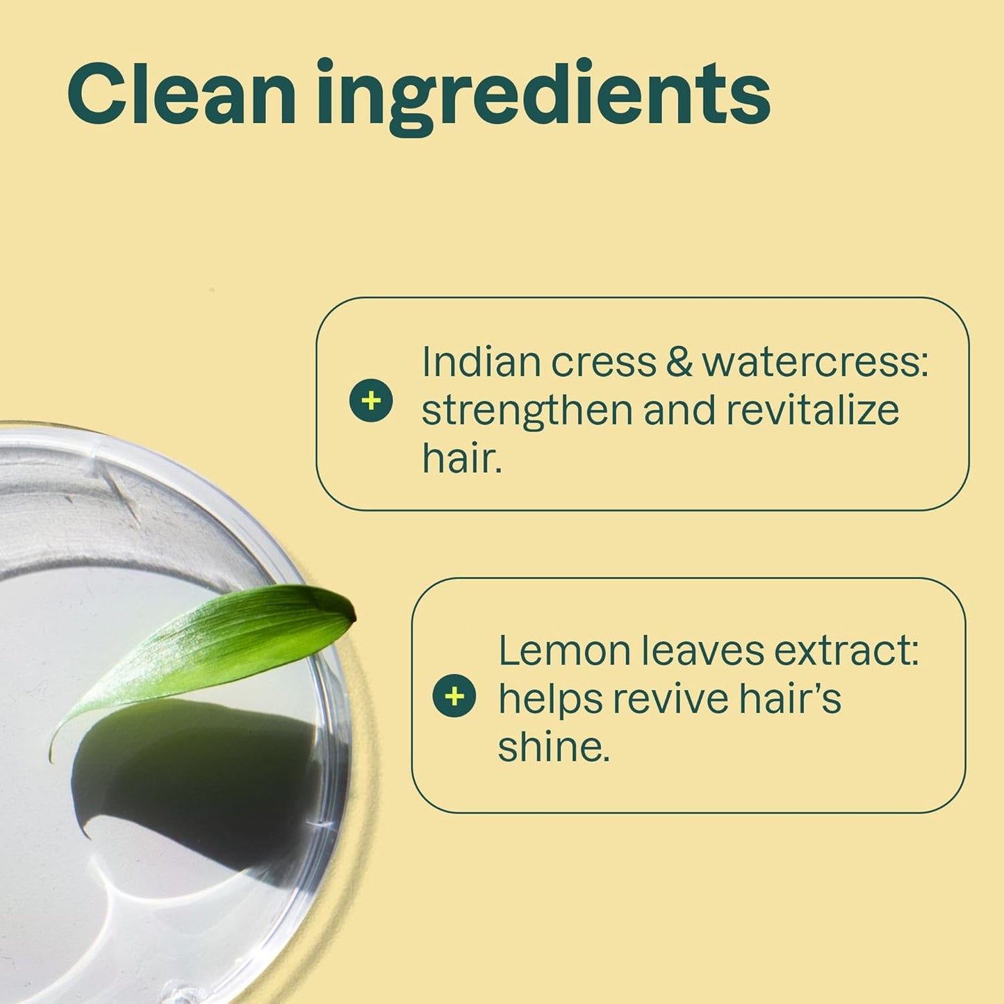 ATTITUDE Clarifying Hair Conditioner, Restores Shine, Naturally Derived Ingredients, Vegan Detangler, Dermatologically Tested, Lemon Leaves and White Tea, 8 Fl Oz