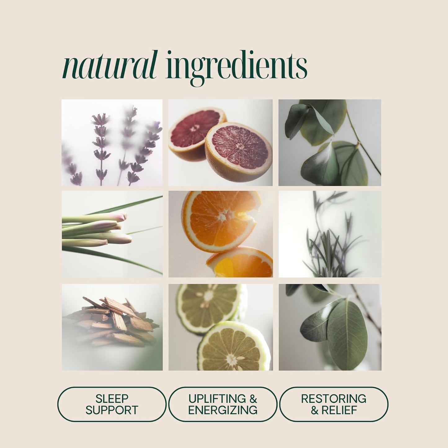 Shower Steamers Aromatherapy 6 Pack - Made in USA with Natural Essential Oils for Christmas Stocking Stuffers, Birthday Gifts for Women and Men, White Elephant - Self Care Variety Pack