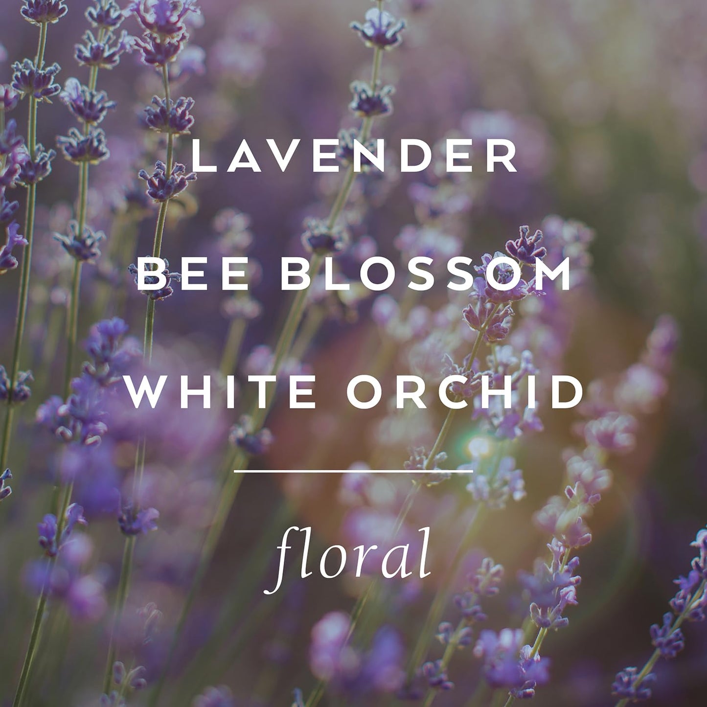 LOLLIA Relax Shower Gel, 8 fl. oz. – Lavender & Honey – Scented Shower Gel, Shea Butter Body Wash, Bath Wash for Women, Moisturizing Body Wash