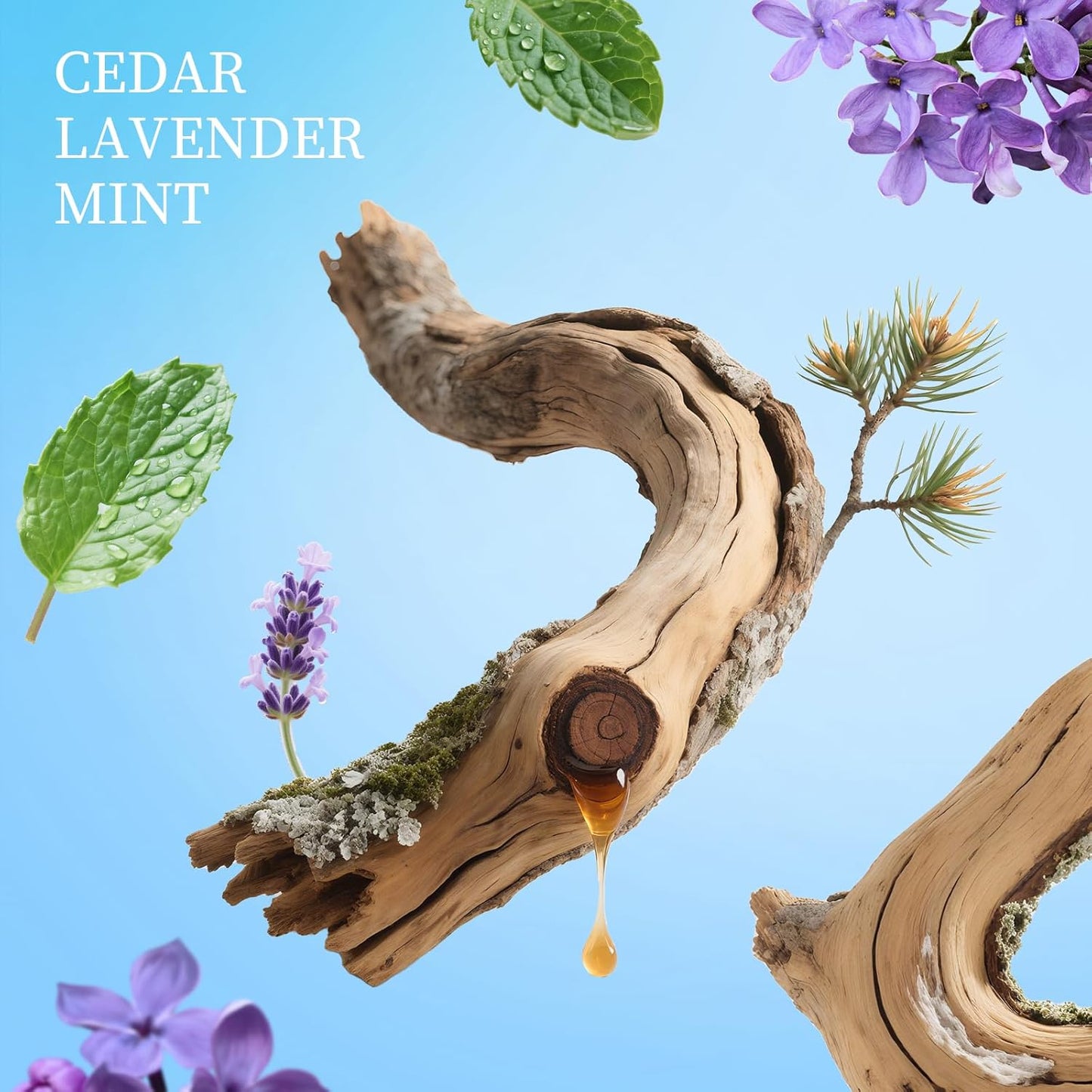 Spray Hand Sanitizer Travel Size Scented - Refillable Hydrating Hand Sanitizers Portable Design Travel Essentials (Silver Cedar) 0.93Fl Oz