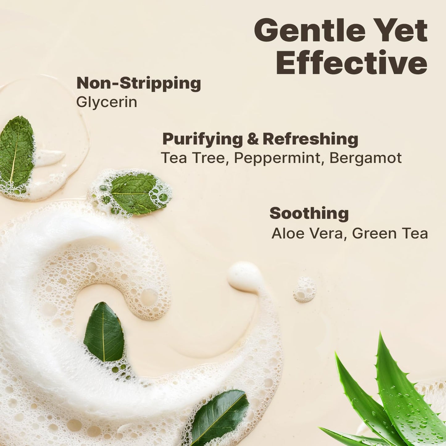 Beauty by Earth Foaming Face Wash Cleanser – Natural & Organic Ingredients, Vegan Facial Wash, Gentle Daily Cleanser for Sensitive, Oily & Acne Prone Skin, Made in USA