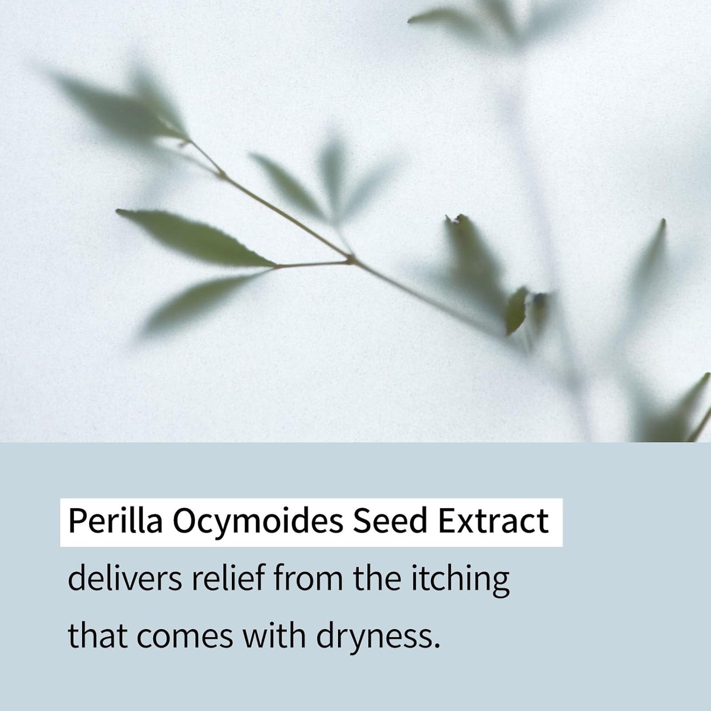 ILLIYOON Ceramide Ato Lotion 528ml(17.85oz) | Daily Moisturizing Lotion for All Skin Types | Deep Moisturizing and Soothing Effect | Korean Skin Care