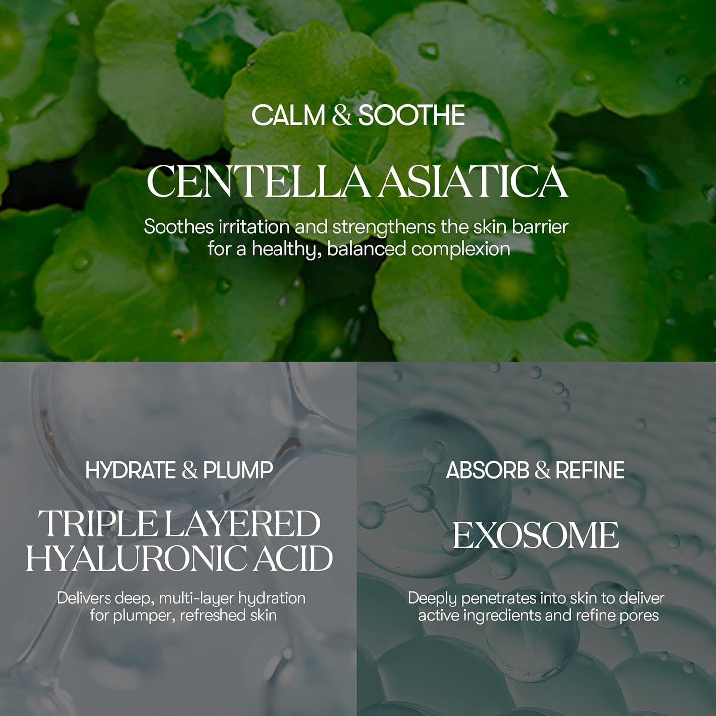 VT COSMETICS Cica-Exosome Moisture Mask 20 Sheets, Centella Asiatica & Hyaluronic Acid with Exosomes for Deep Hydration & Calming, Biodegradable Vegan Sheets, Korean Face Mask