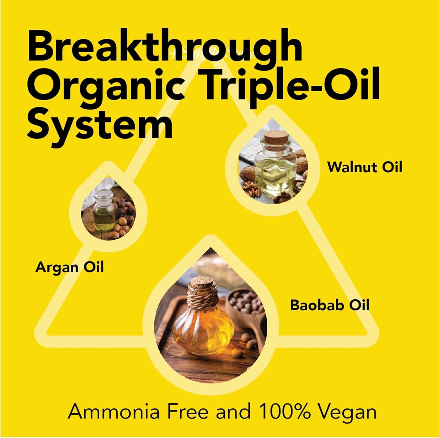 CLEVERMAN Auburn Hair & Beard Dye for Men - All-in-One Reusable Kit, Fast-Acting, Long Lasting, Ammonia-Free, Professional Quality for Hair, Beard & Gray Mustache - Semi-Permanent Extended