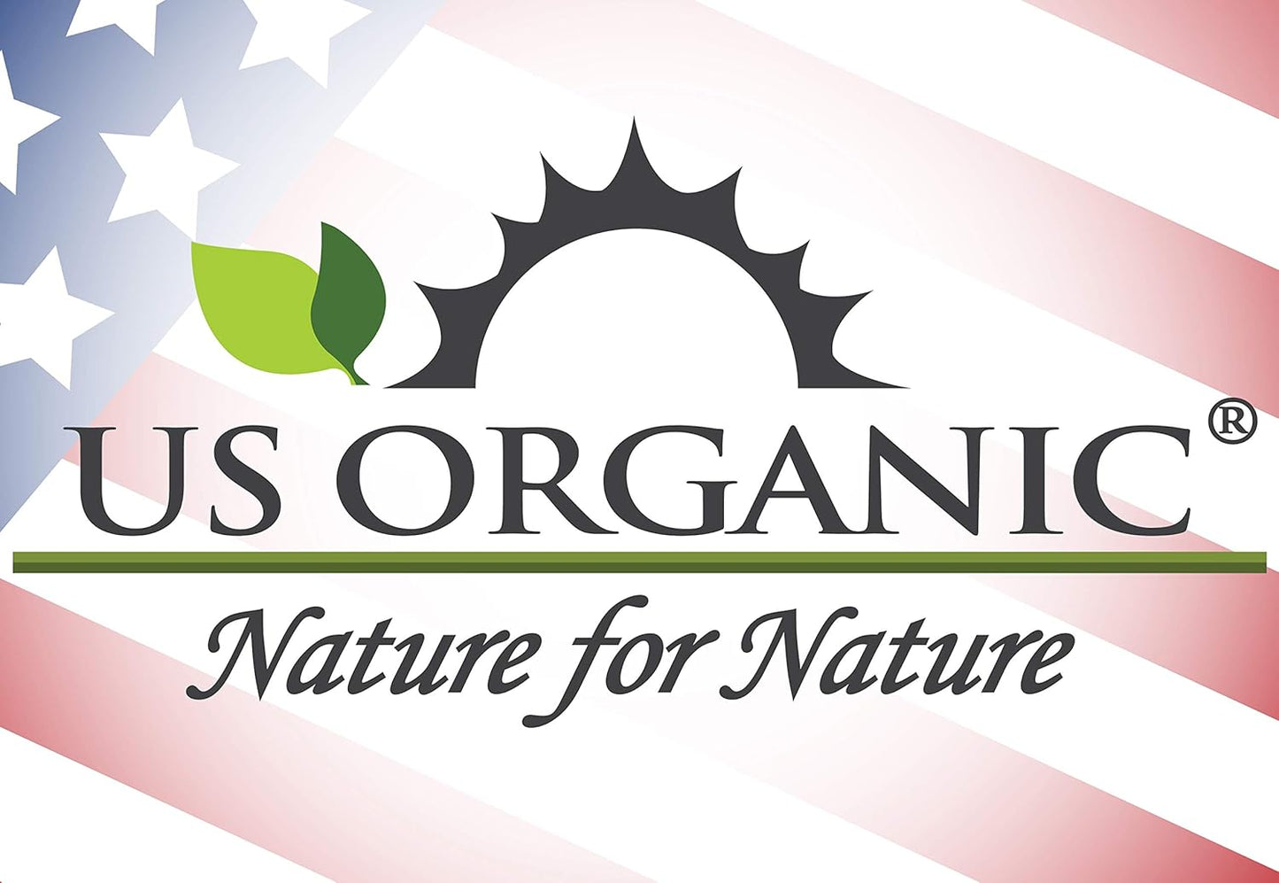 US Organic 100% Pure Basil Essential Oil - USDA Certified Organic, Steam Distilled, 15 ml