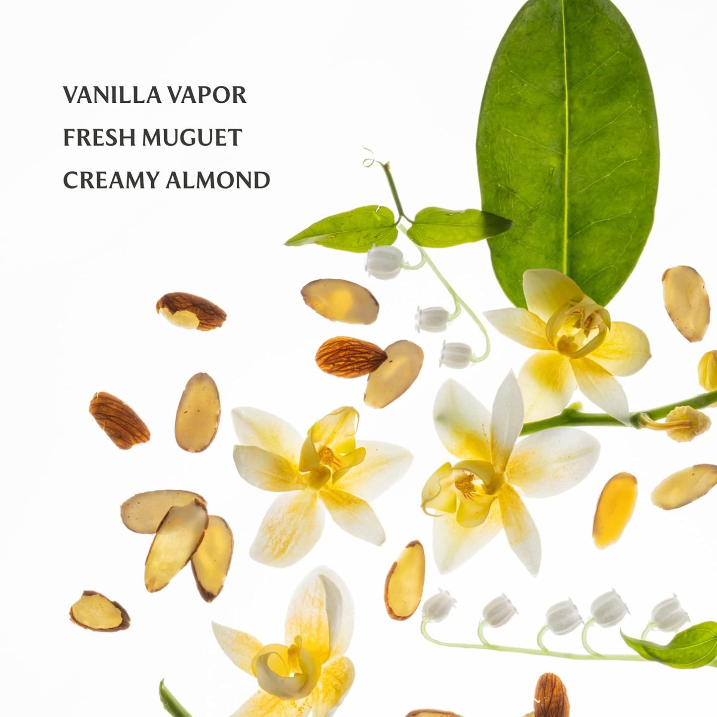 Touchland Power Essence Hydrating Body & Hair Fragrance, Vanilla Velvet, 2 FL. OZ. Travel Size Body Mist