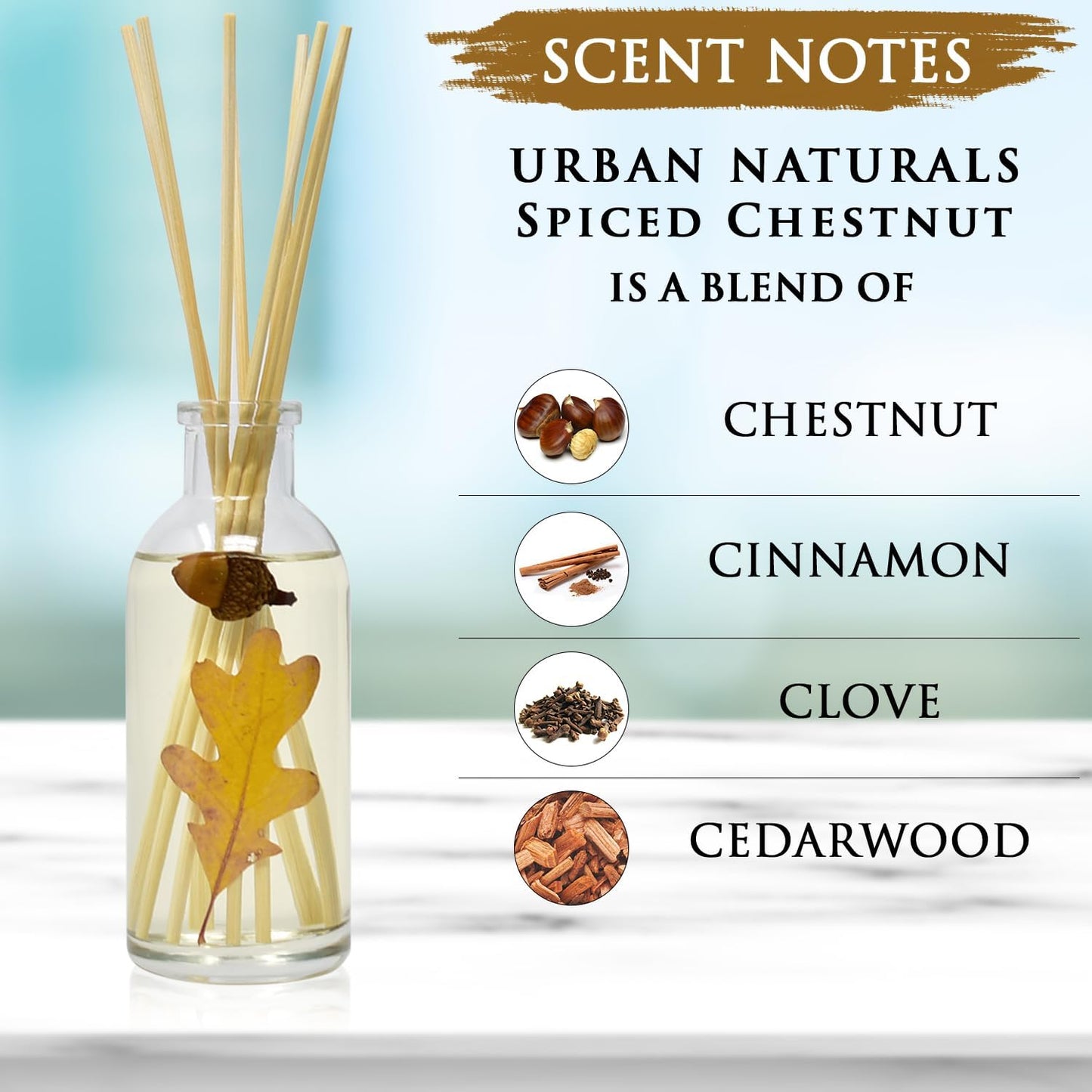 Urban Naturals Spiced Chestnut Reed Diffuser Sticks and Oil Set – Comforting Autumn Scent of Chestnuts, Cinnamon, Clove and Cedar Wood with Real Acorns and Fall Leaves – 3.75 Ounces – Made in The USA