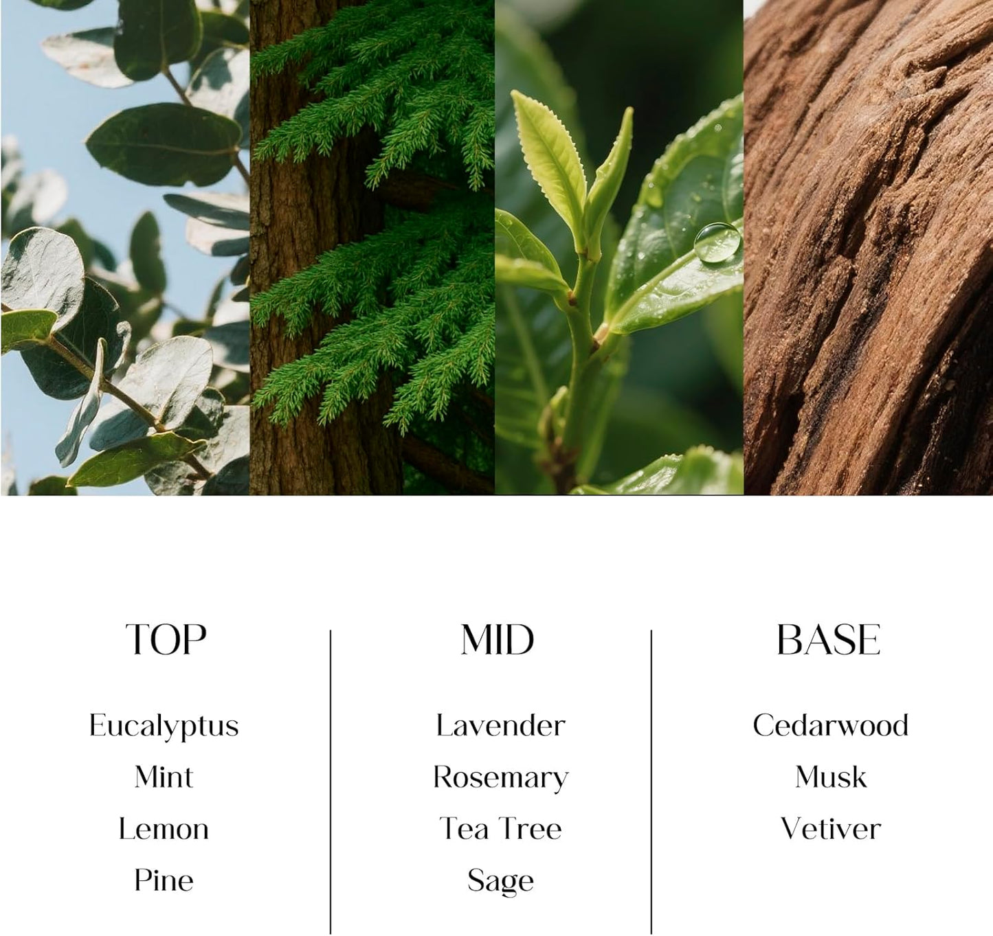 Clesh Reed Diffuser Set, 6.7 oz Eucalyptus Scented Diffuser with Sticks, Home Fragrance Reed Diffuser for Bathroom Shelf Decor