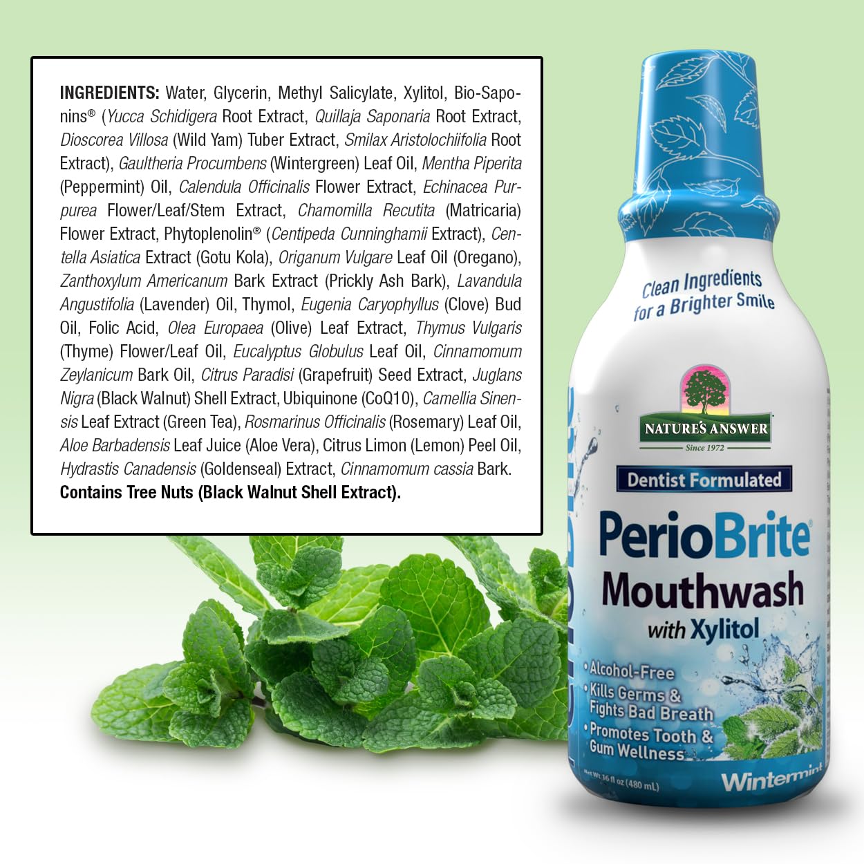 Nature's Answer Periobrite Alcohol-Free Mouthwash, Wintermint, 16 Ounce (2 Pack) | Fluoride Free | Natural Breath Freshener | Stain Remover | Natural Teeth Whitener