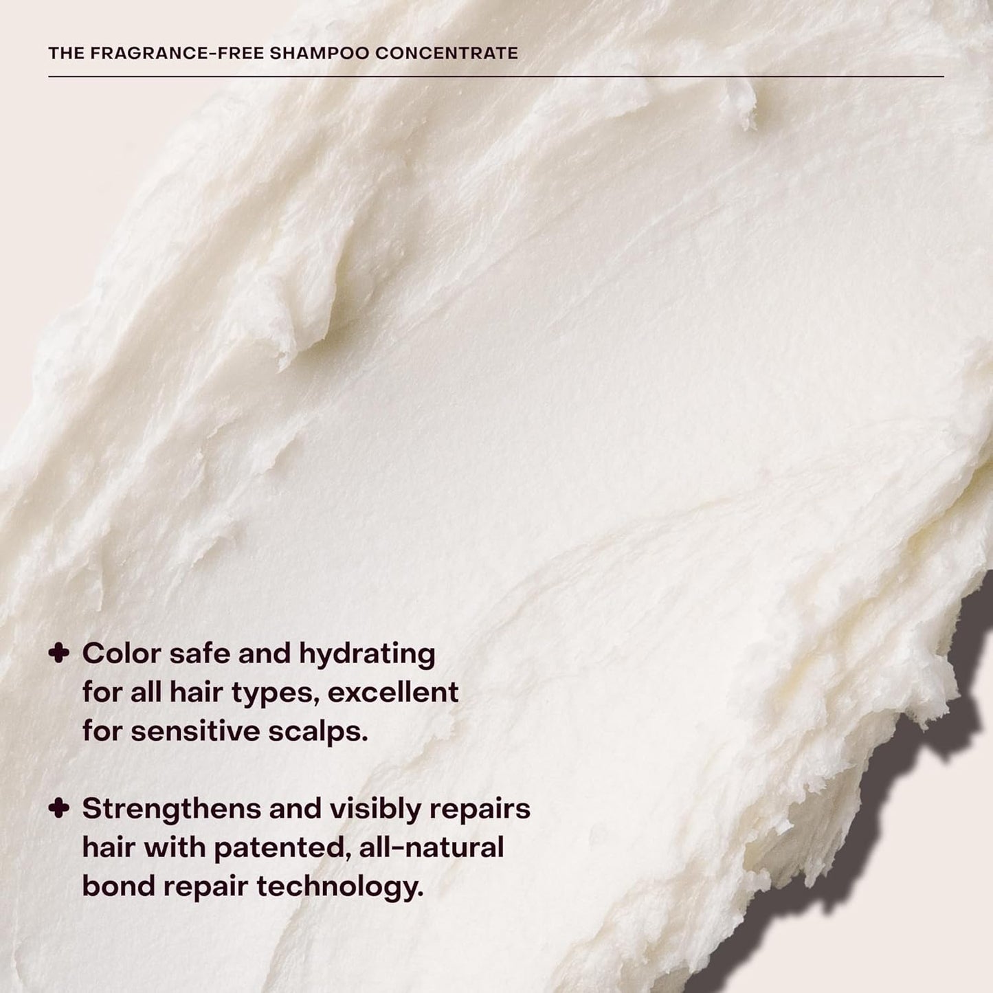 Everist The Fragrance-Free Shampoo Concentrate, Cleansing, Hydrating and Soothing for All Hair Types, Sensitive Skin, Gentle On All Scalps, Plant-based, Aloe Vera, 3.4 fl oz, 50+ Washes, TIN