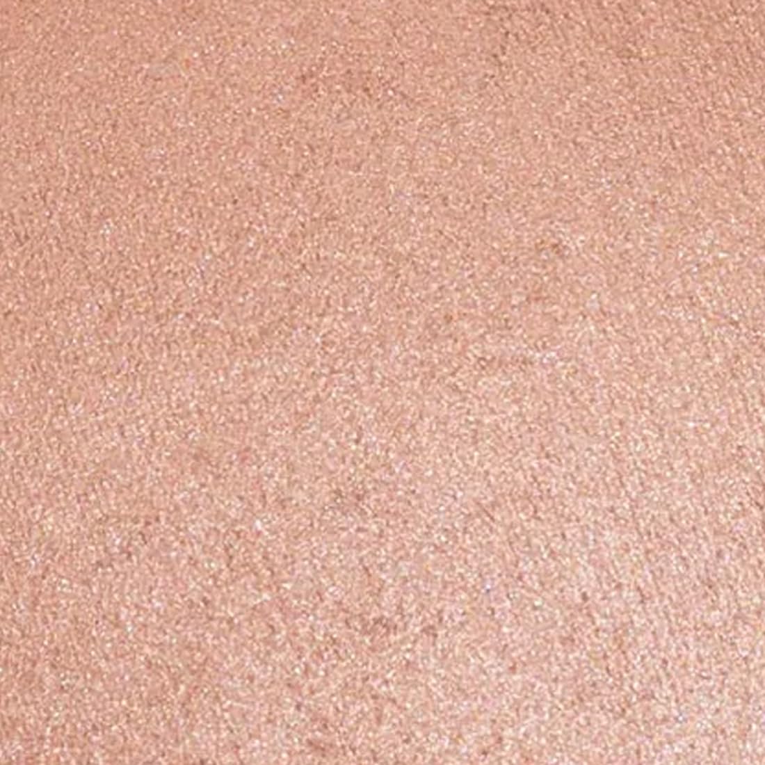 Palladio Baked Bronzer, Highly Pigmented and Easy to Blend, Shimmery Bronzed Glow, Use Dry or Wet, Lasts all day long, Provides Rich Tanning Color Finish, Powder Compact, Atlantic Tan