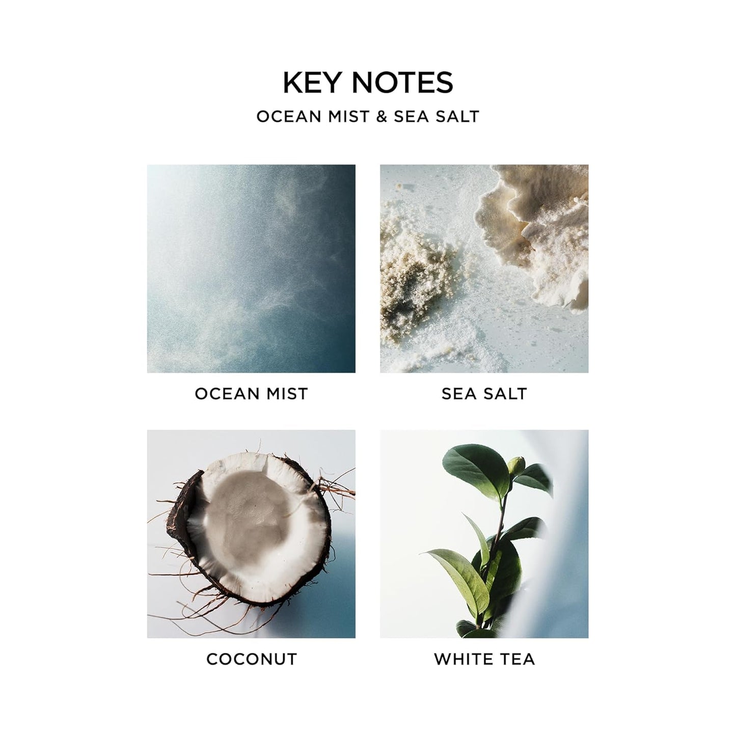 NEST New York Liquid Soap, Ocean Mist & Sea Salt - 10 fl oz - Cleanses & Nourishes Skin - Approx. 300 Pumps Per Bottle - Gluten Free & Cruelty Free