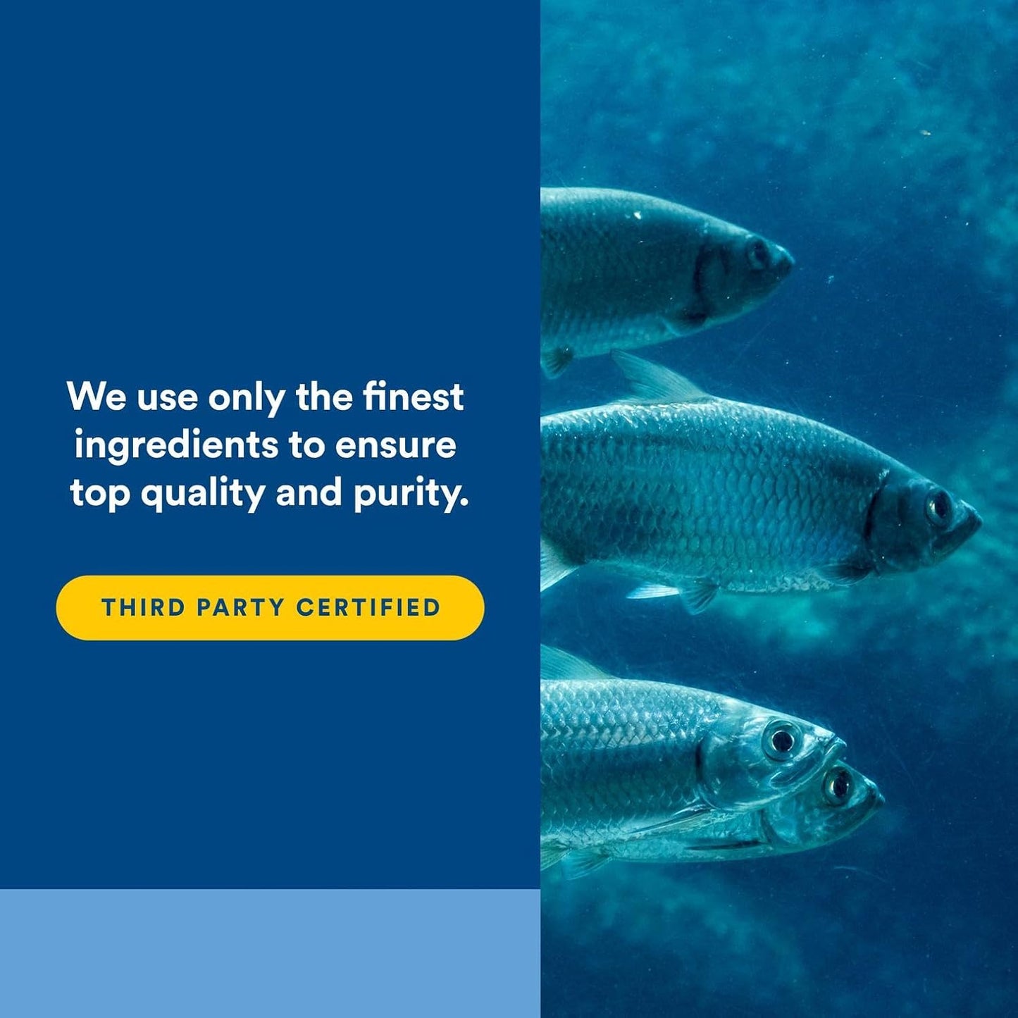 Natural Factors RxOmega-3, Natural Support for Heart Health with DHA and EPA, Daily Dietary Supplement, 120 Softgels