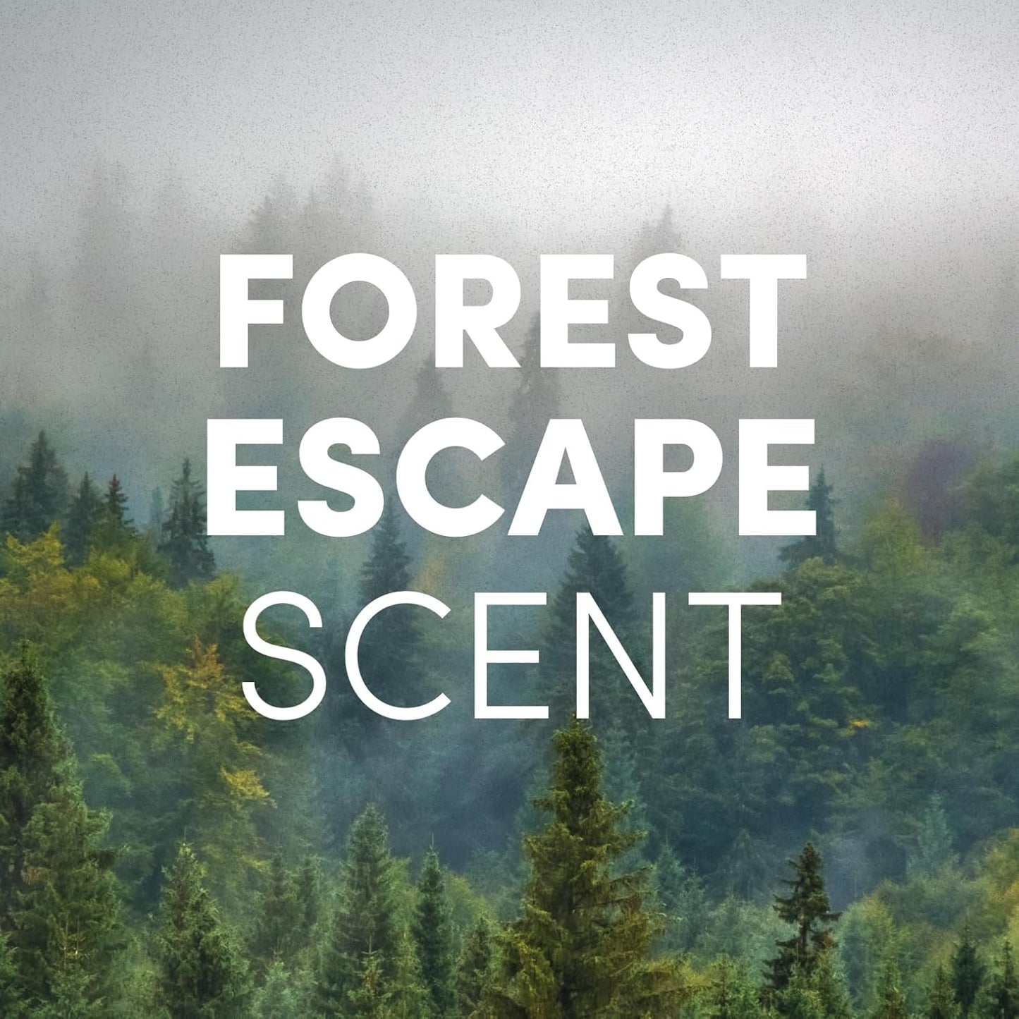 Clean Revolution Liquid Gel Hand Soap, Silky Rich Liquid, Quick Lather, Fast Rinsing, Contains Real Essential Oils (Forest Escape) 8 Fl Oz