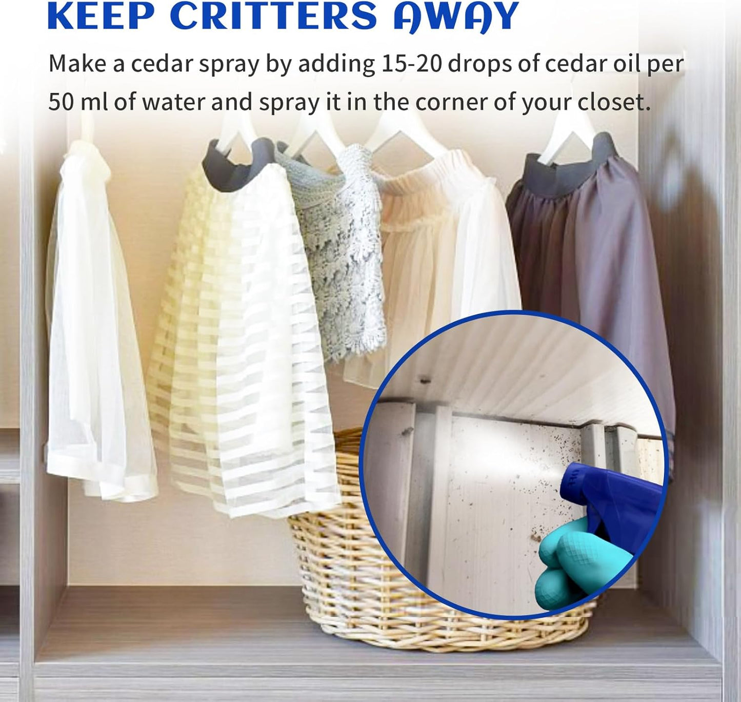 HIQILI Cedarwood Essential Oil (3.38 Fl Oz), 100% Natural Therapeutic Grade, Premium Glass Dropper, for Hair & Skin Care, Soap Making, Add to Diffusers, Sprays