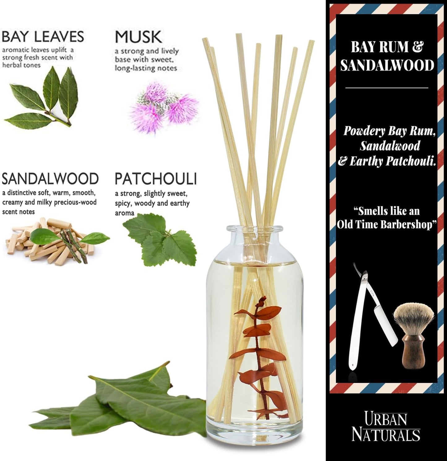 Urban Naturals Bay Rum & Sandalwood Reed Diffuser Scent Sticks Gift Set | Powdery Bay Rum, Sandalwood, Earthy Patchouli & Musk | A Bold, Spicy, Masculine Scent | Smells Like an Old Time Barber Shop