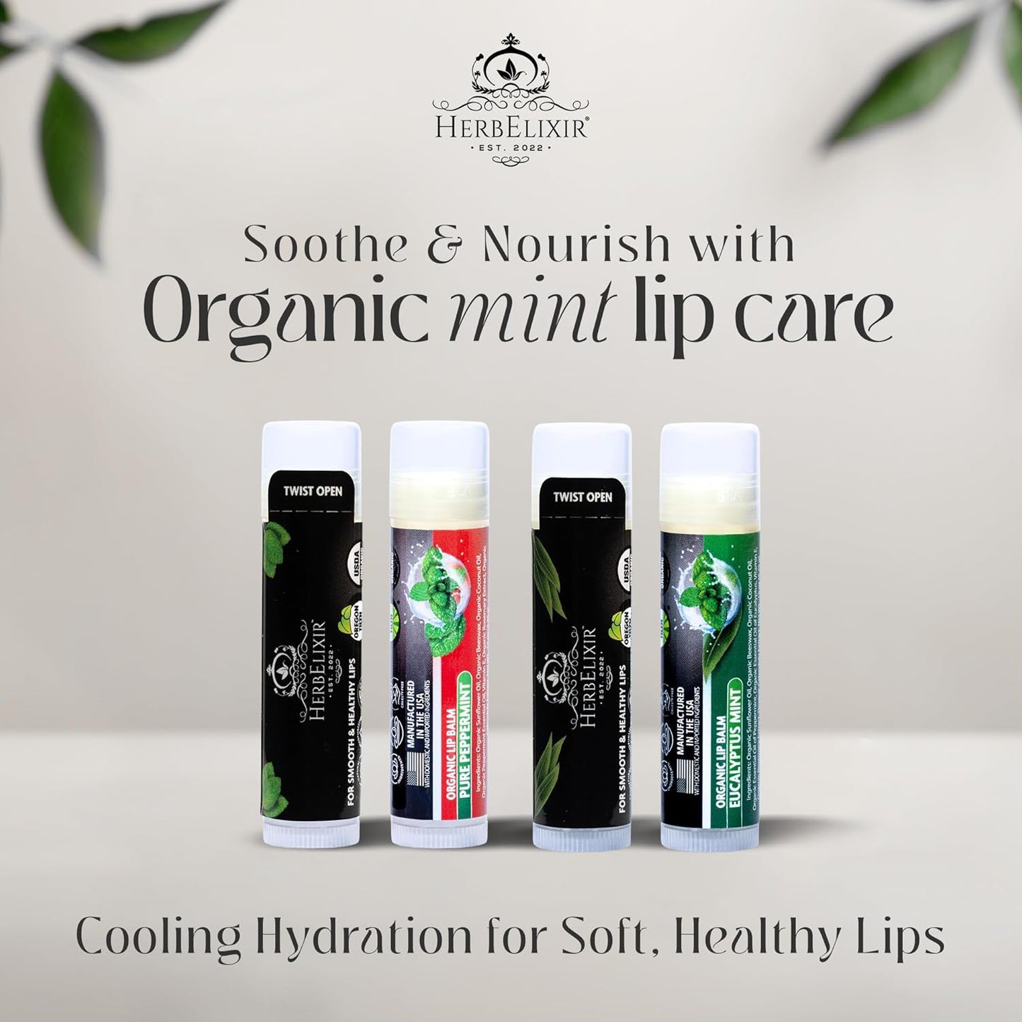 Organic Eucalyptus Mint Lip Balm 3 Pack | Hydrating Chapstick for Dry Lips | Natural Lip Care for Men and Women