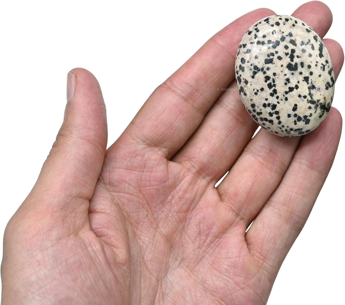 Amazing Gemstone Dalmatian Jasper Crystals and Healing Stones - Large Palm Stone Crystals Piedra - Crystal for Good Luck, Positive Energy, Meditation - Unique Stocking Stuffers Gifts for Women, Men
