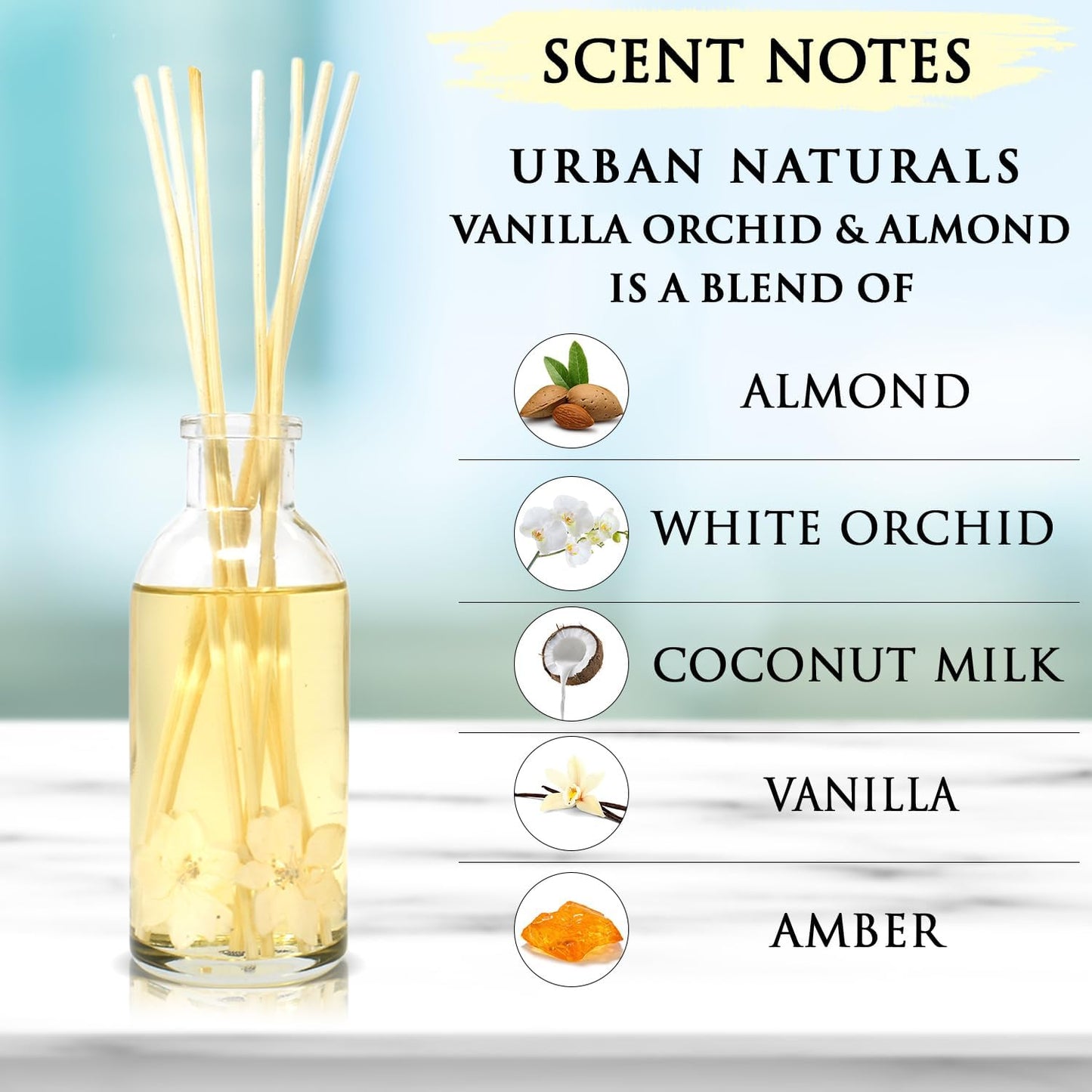 Urban Naturals Vanilla Orchid and Almond Scented Reed Diffuser Oil Set | Rich, Nutty Fragrance with Almond, White Orchid, Coconut Milk, Vanilla and Amber | Great Holiday Home Air Freshener