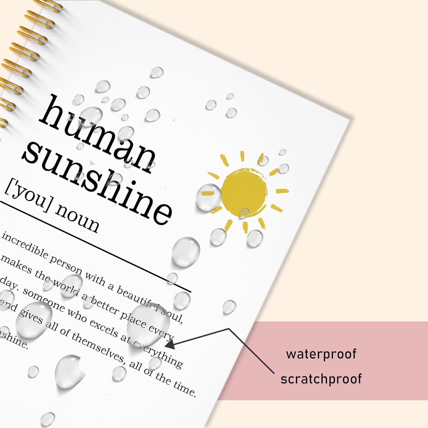 Human Sunshine Notebook Journal, Motivational Office Notebooks for Work, Human Sunshine Gifts for Women, Inspirational Gifts for Coworker, Hardcover Spiral Notebook 5.5x8.3