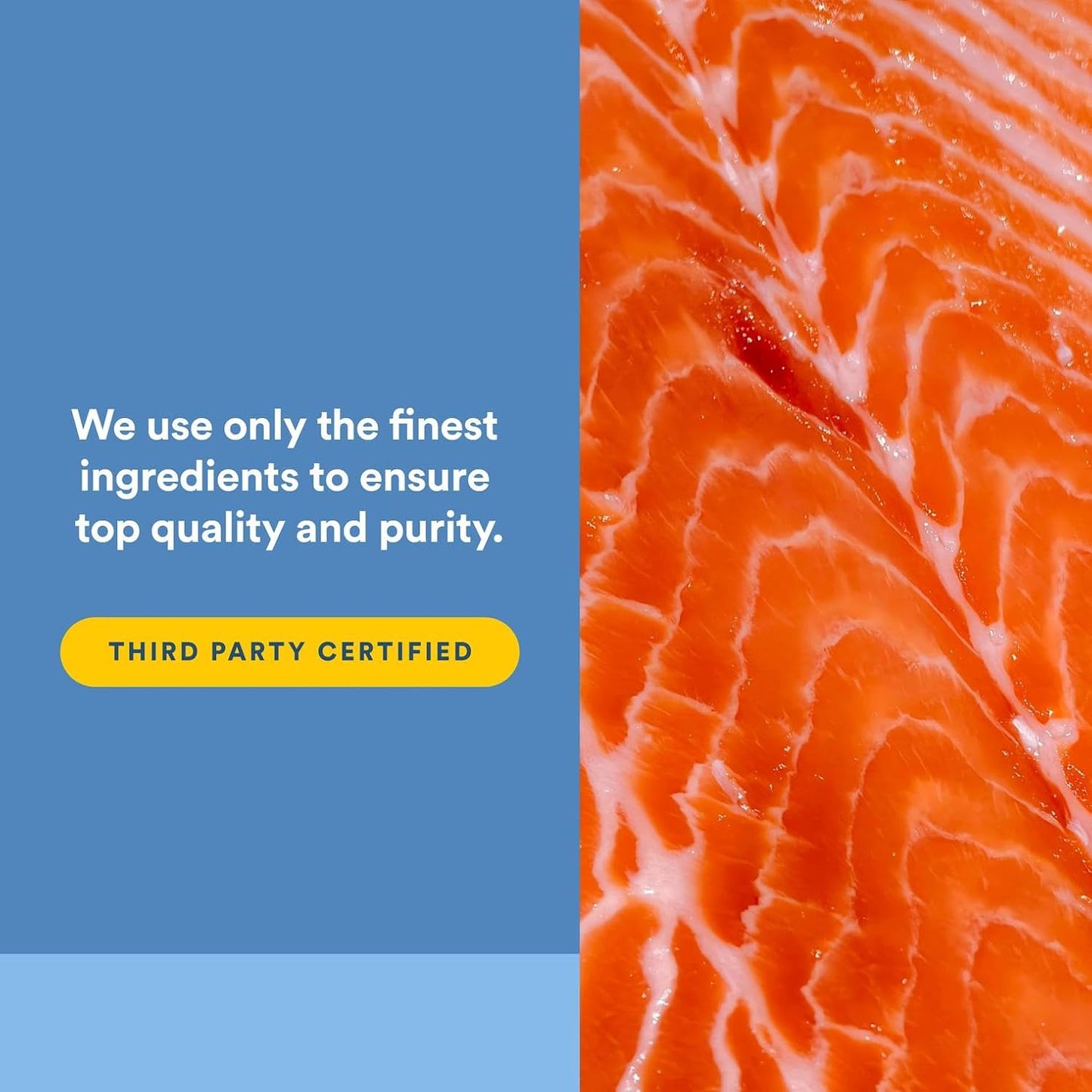 Omega Factors by Natural Factors, Wild Alaskan Salmon Oil, Supports Heart and Brain Health with Omega-3 DHA and EPA, 90 Softgels