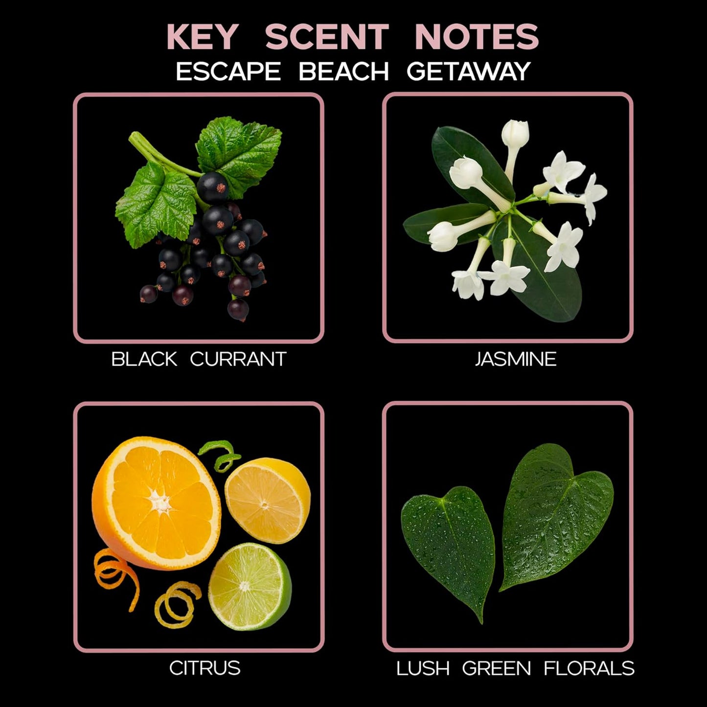 LOVSPA Reed Diffuser Set, Escape Beach Getaway Scented Oil Diffuser with Sticks, Home Fragrance Accessories for Bathroom Shelf Decor, Aroma Diffusers for Home or Office Desk, USA Made