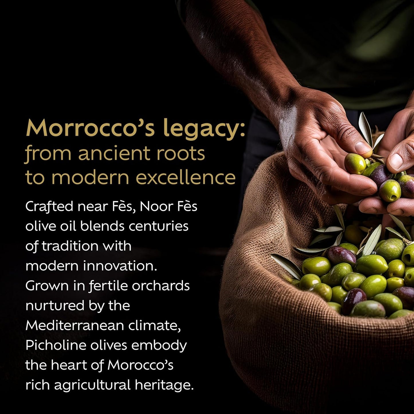 NOOR FÈS USDA Organic | 20+ Awards 584 mg/kg Polyphenol Rich | Premium Extra Virgin Olive Oil | Moroccan Cold Pressed EVOO | Less than 0.15% Acidity | Handpicked Picholine Olives | Pack of 2