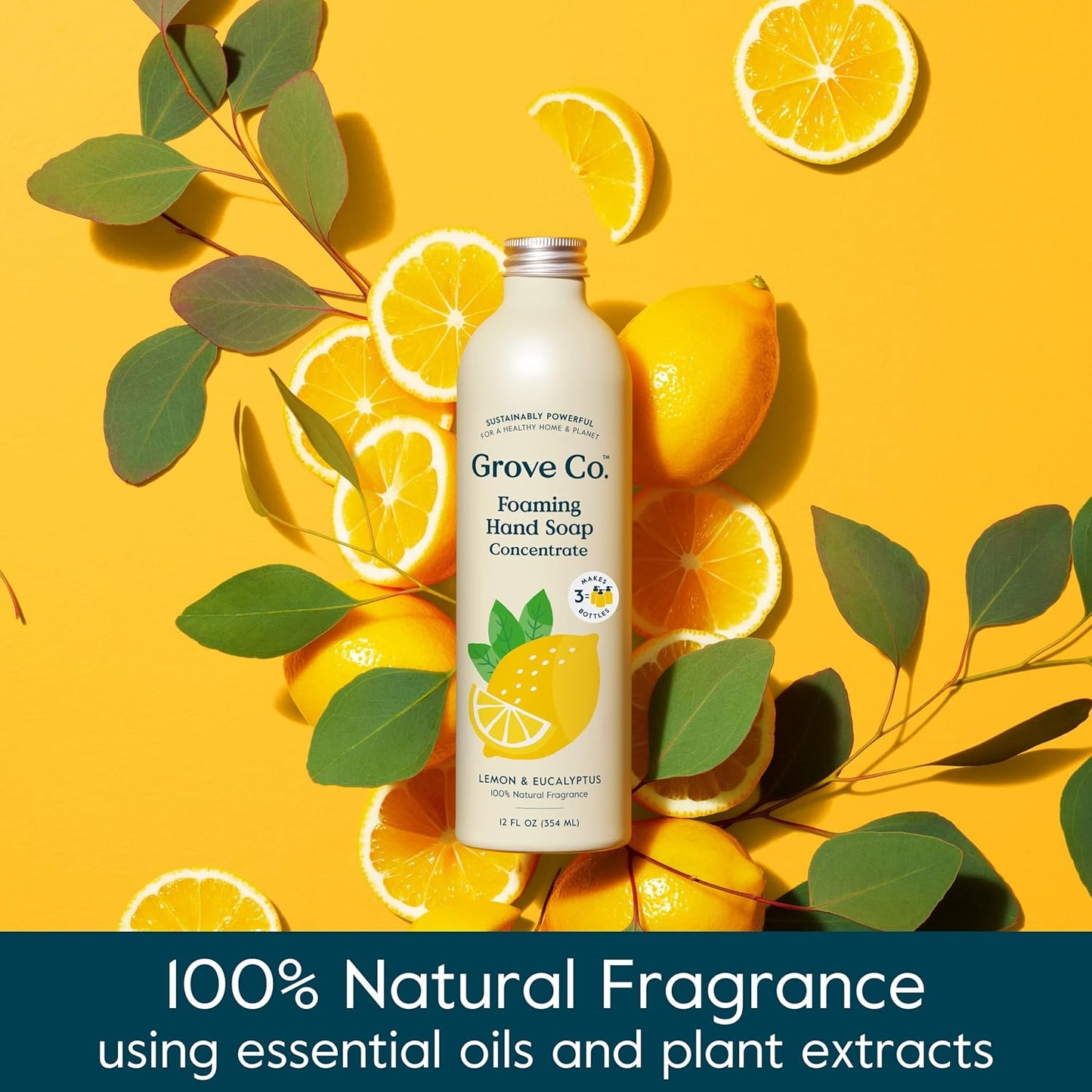 Grove Co. Foaming Hand Soap Concentrate (12 Fl Oz) + Reuseable Glass Soap Dispenser, Plastic Free and Liquid Refillable Starter Kit, Natural Lemon & Eucalyptus Fragrance