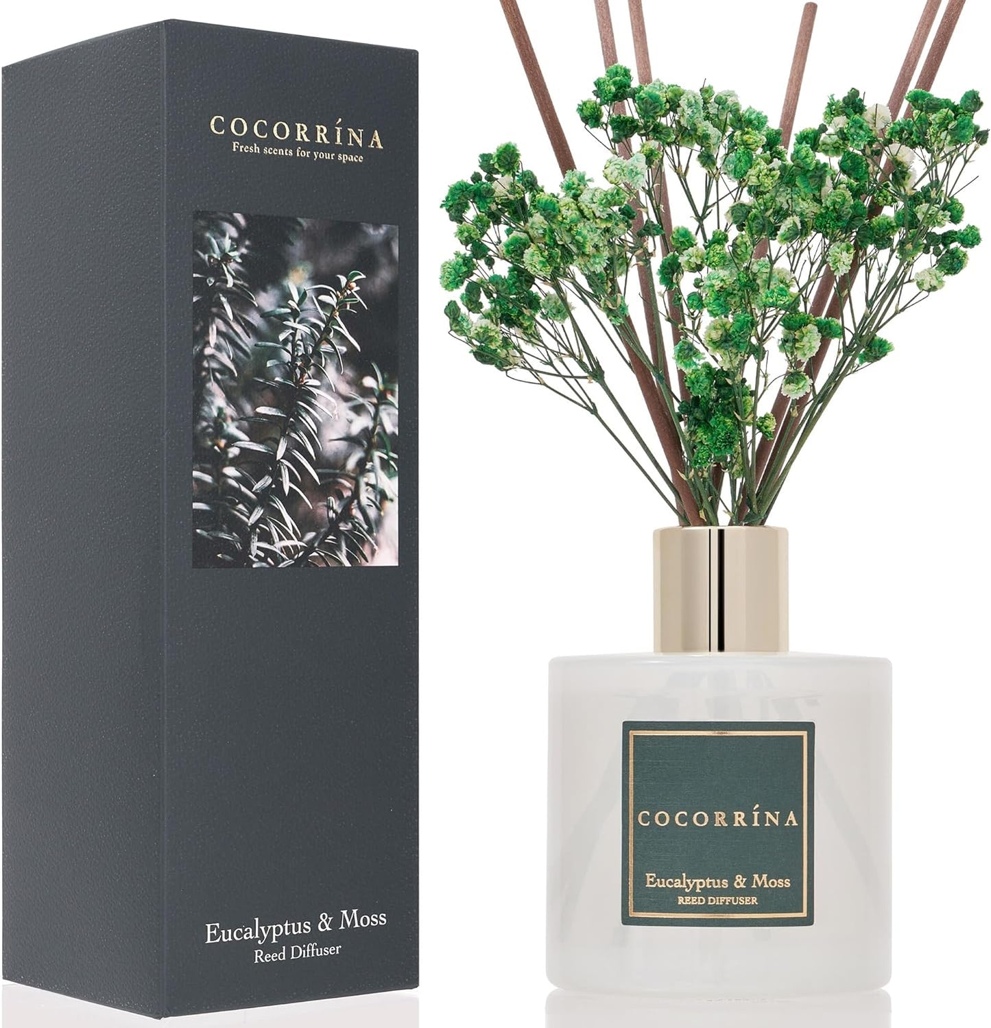 Cocorrína Reed Diffuser Sets- Eucalyptus & Moss Scented Diffuser with Sticks Home Fragrance Reed Diffuser for Bathroom Shelf Decor