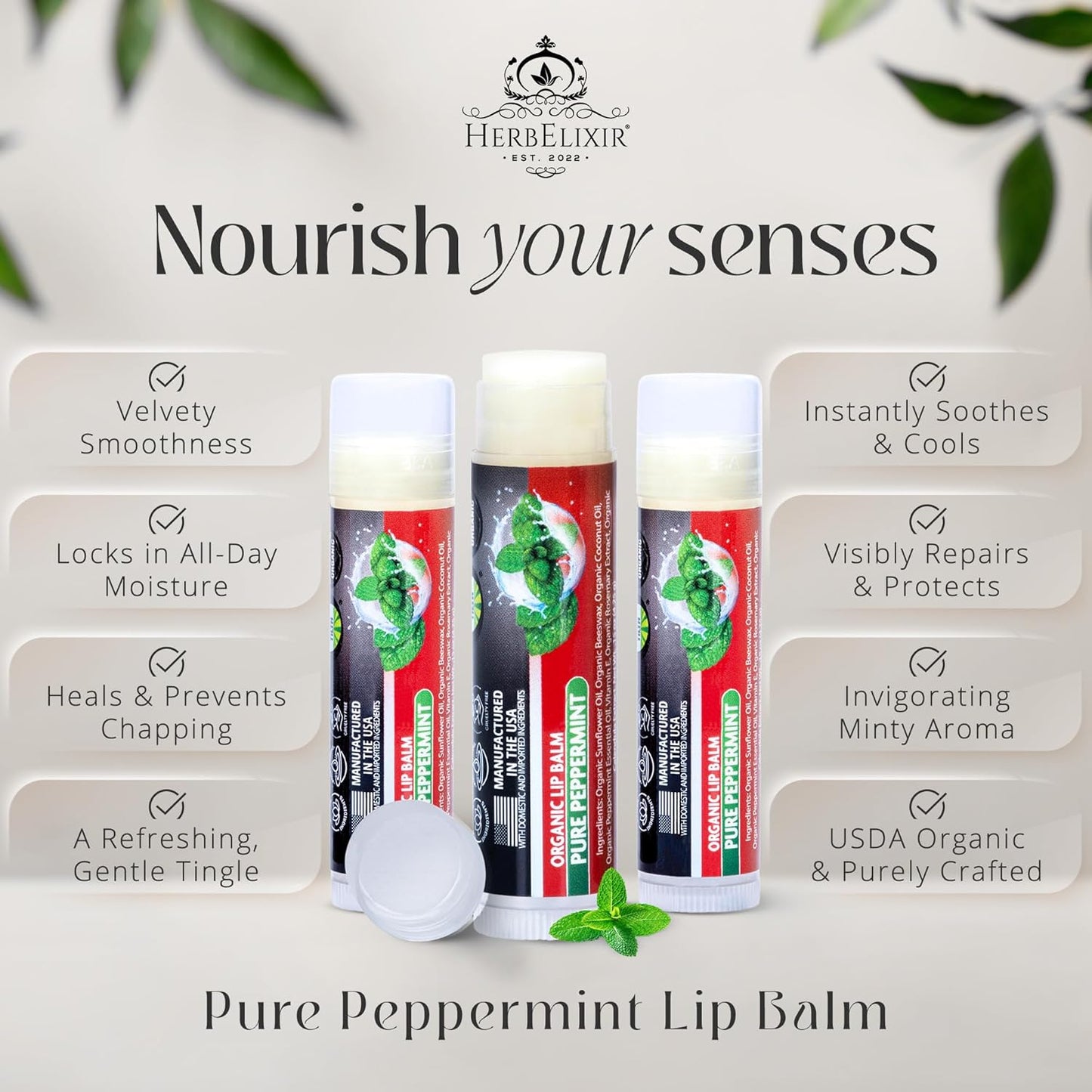 Organic Peppermint Lip Balm 3 Pack | Moisturizing Mint Chapstick for Dry, Chapped Lips | For Men and Women