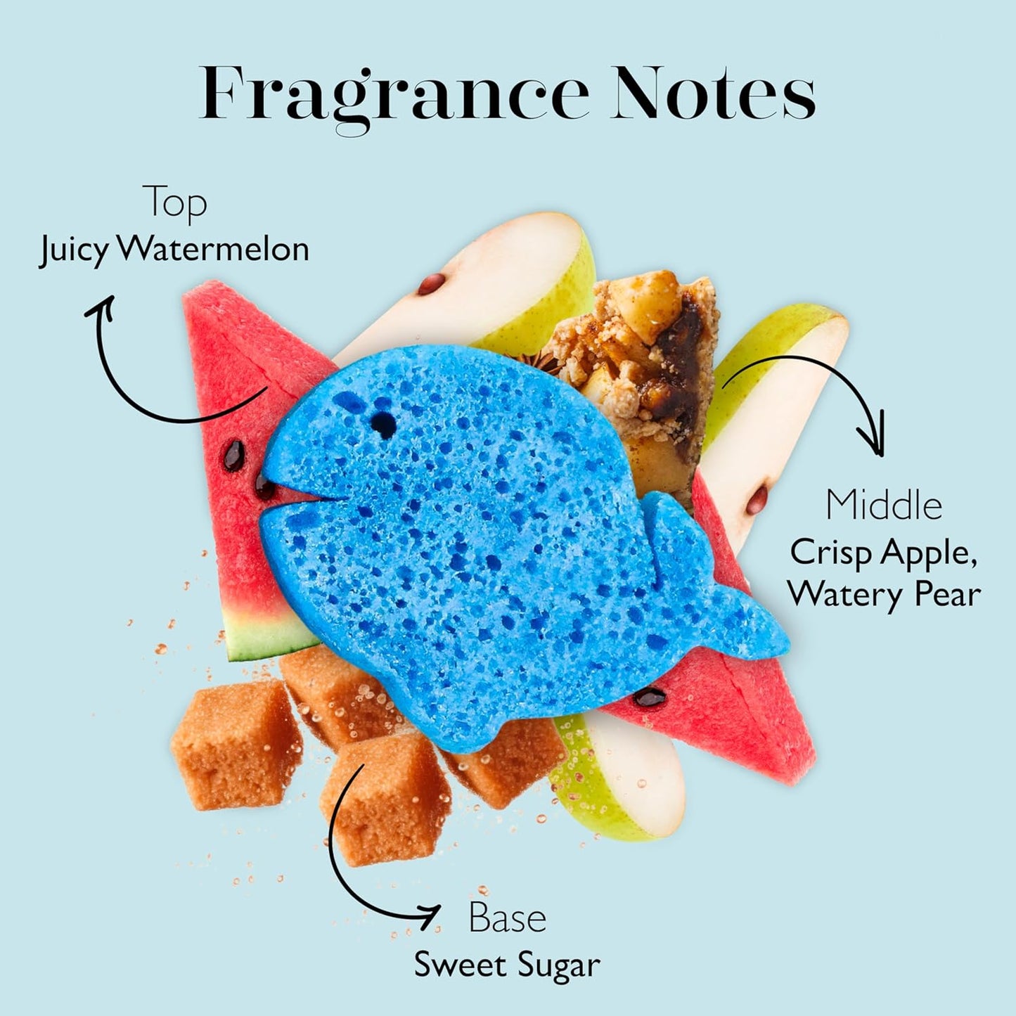 Spongelle Sea Animals Walter Whale