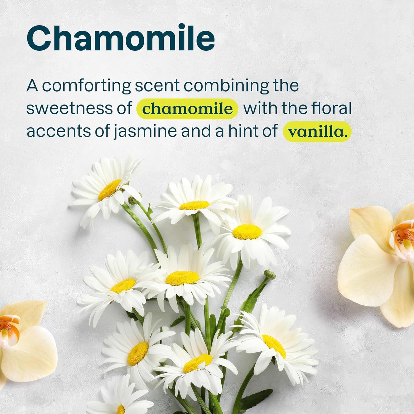 ATTITUDE Hand Cream for Sensitive Skin with Oat, EWG Verified, Dermatologically Tested, Vegan, Chamomile, 2.5 Fl Oz