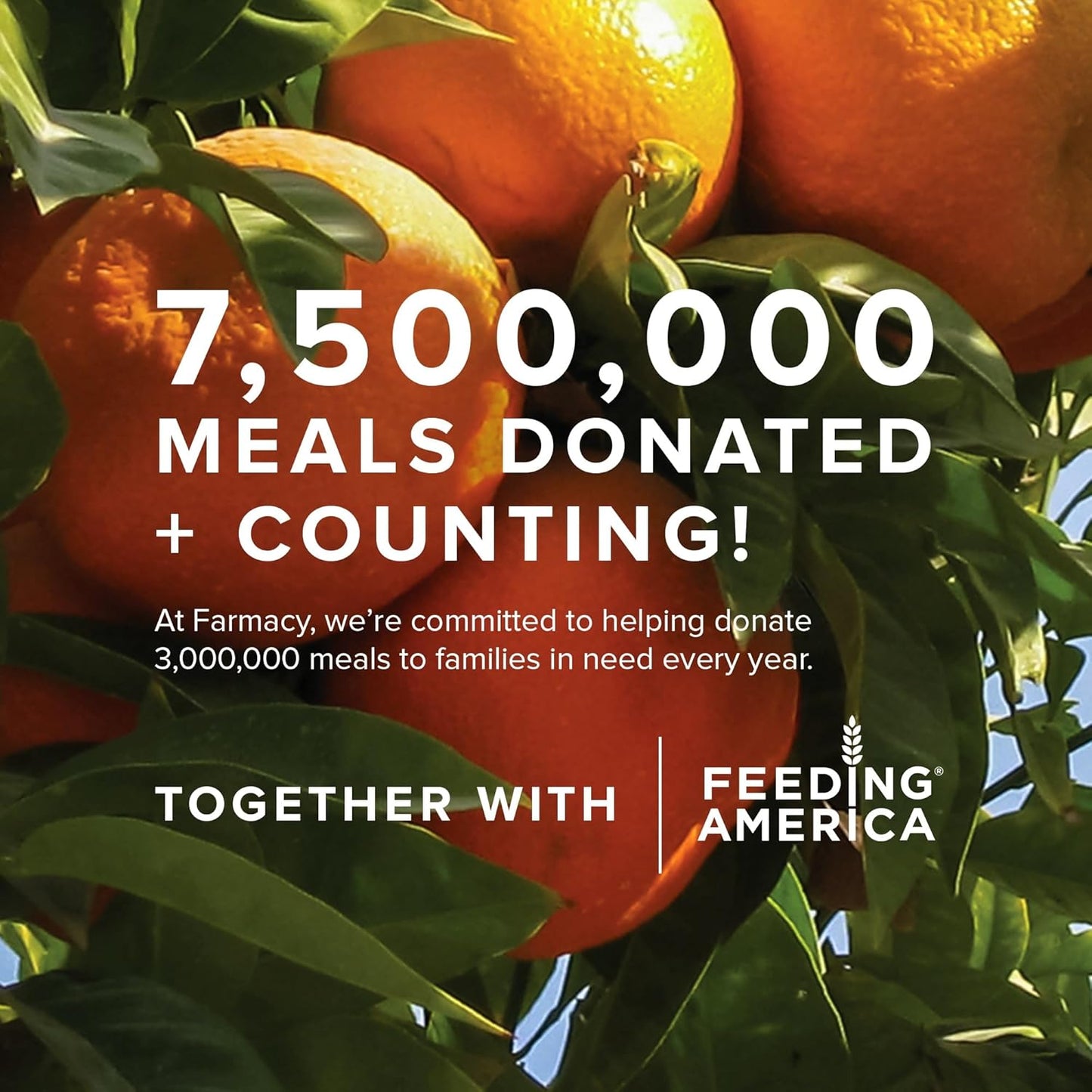 Farmacy Hydrating Face Mask - Honey Potion Plus Nourishing Skincare Facial Mask with Niacinamide, Ceramides + Pro-Vitamin B5 to Protect + Replenish Moisture Barrier (9ml)