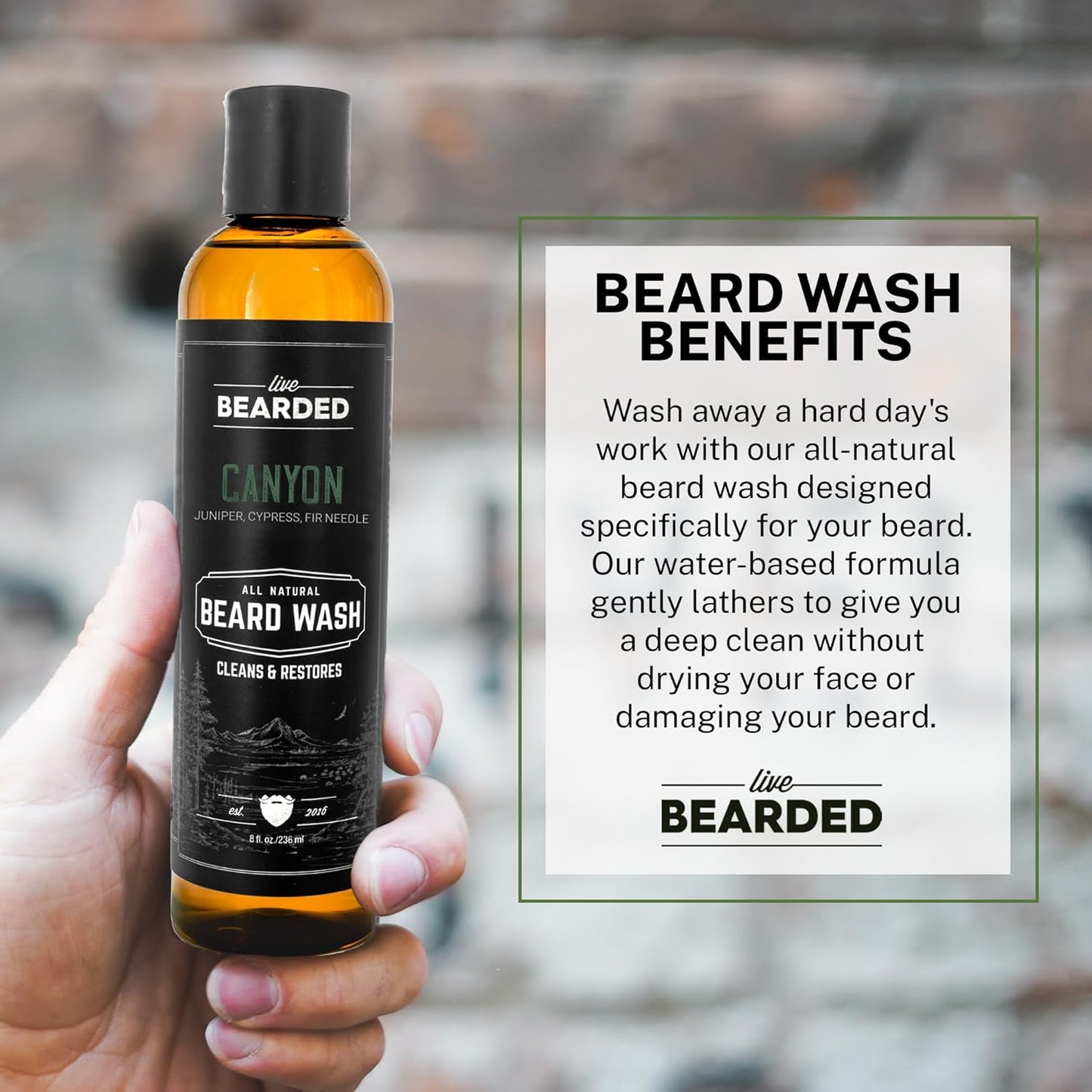 Live Bearded Beard Wash, 8 fl oz - Water-Based Face Cleanser with All-Natural Ingredients for a Gentle, Deep Clean - Made in the USA | Canyon Scent - Juniper, Cypress, Fir Needle