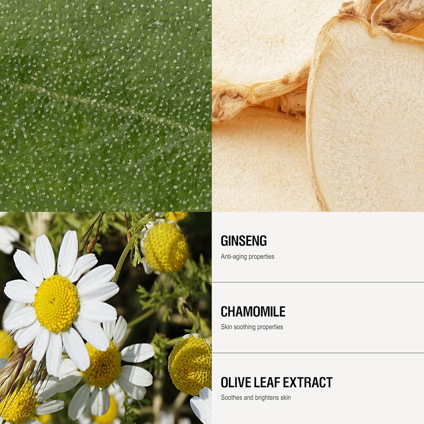 Grown Alchemist Balancing Toner, Alchohol-Free with Rose, Ginseng, Chamomile 50mL (Travel Size)