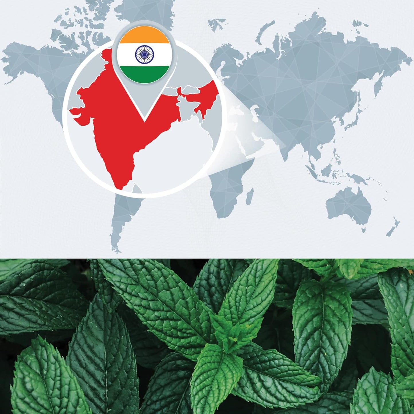 Bulk Peppermint Essential Oil - Large Size 8 fl oz Bottle - 100% Pure and Undiluted Therapeutic Grade Mentha Piperita - Concentrated Extract